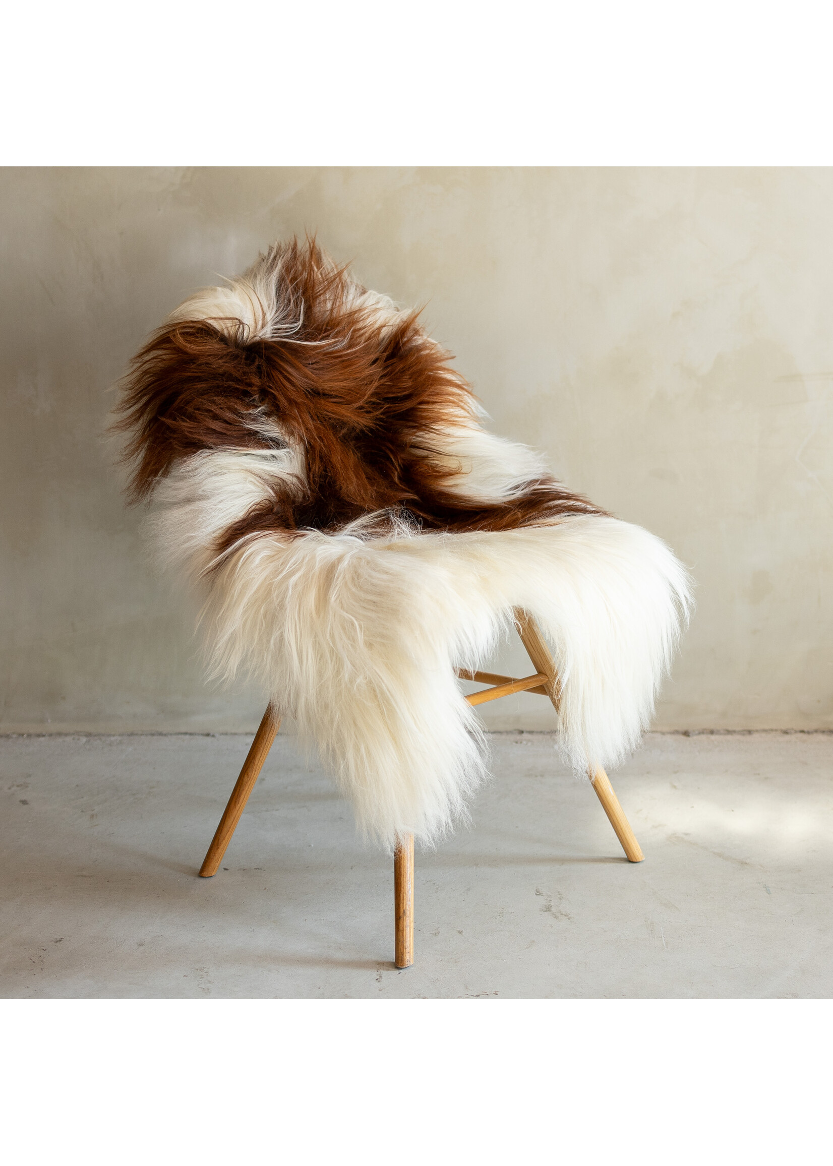 Van Buren sinds 1861 Uniek Gefotografeerd Mouflon Schapenvacht GR S - 122x73 - SVV-684