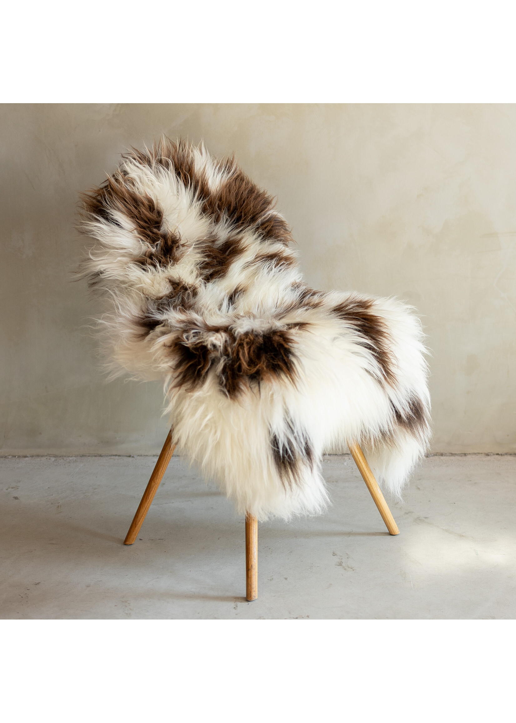 Van Buren sinds 1861 Einzeln fotografiertes Schaffell Meliert XXL - 128x66 - SVV-722