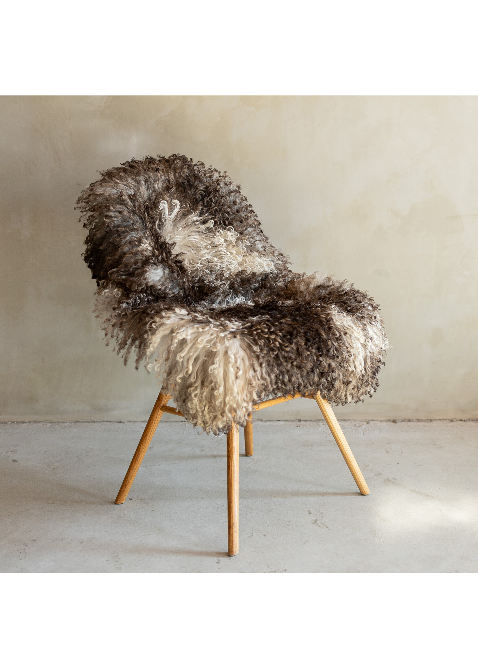 Van Buren sinds 1861 Einzeln fotografiertes Locken-/Bergschaf-Schaffell - 115x66 - SVV-723