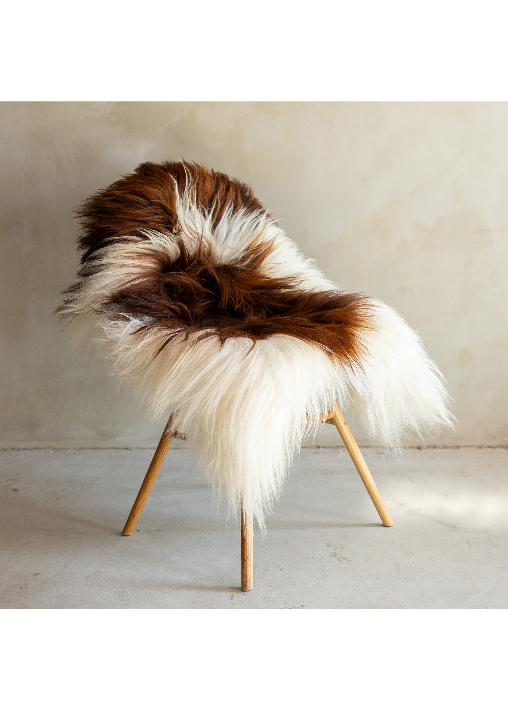 Van Buren sinds 1861 Uniek Gefotografeerd IJslands Schapenvacht Bruin Bont - 119x78 - SVV-691