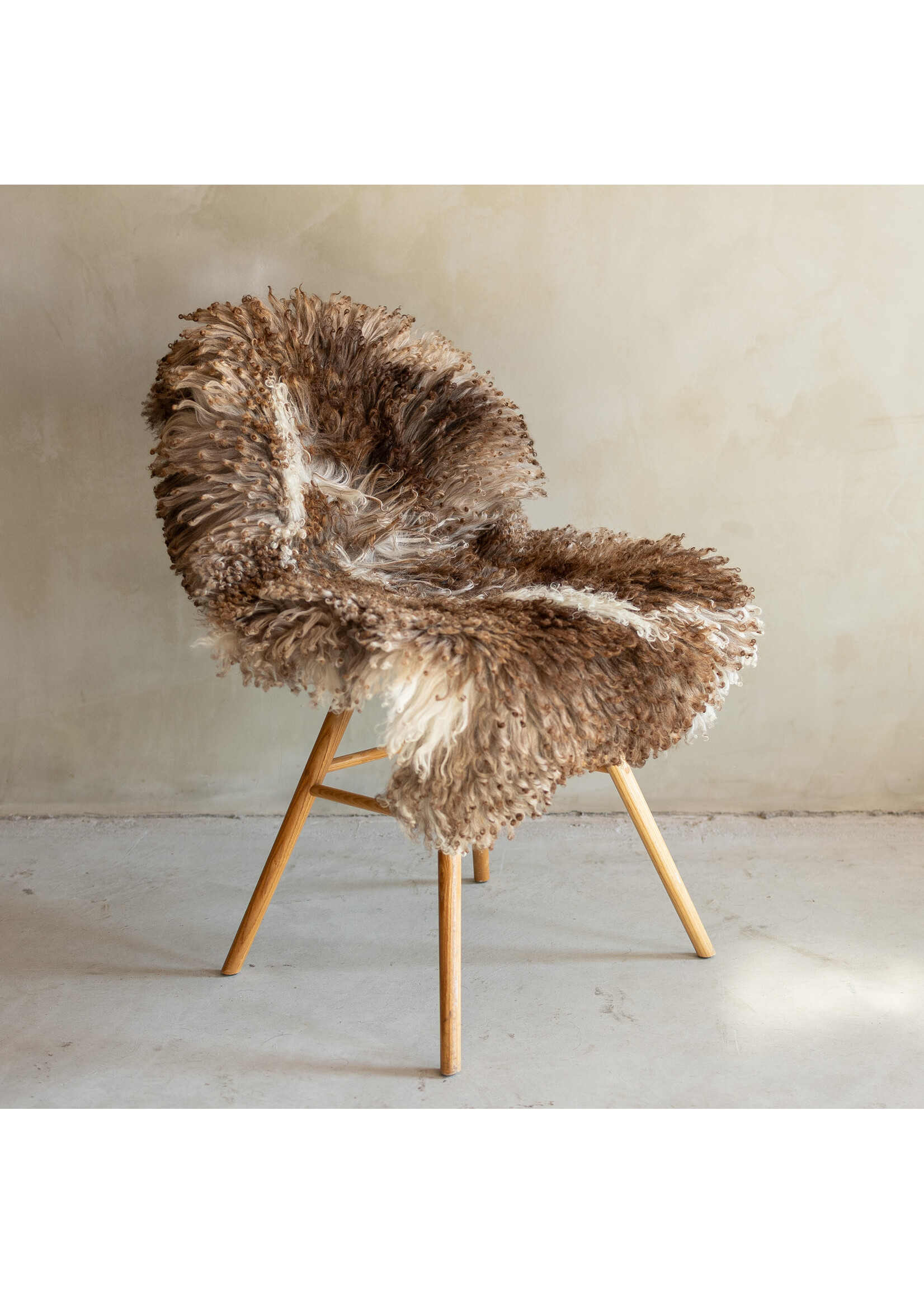 Van Buren sinds 1861 Uniek Gefotografeerd Krul/Bergschaap Schapenvacht - 109x62 - SVV-724