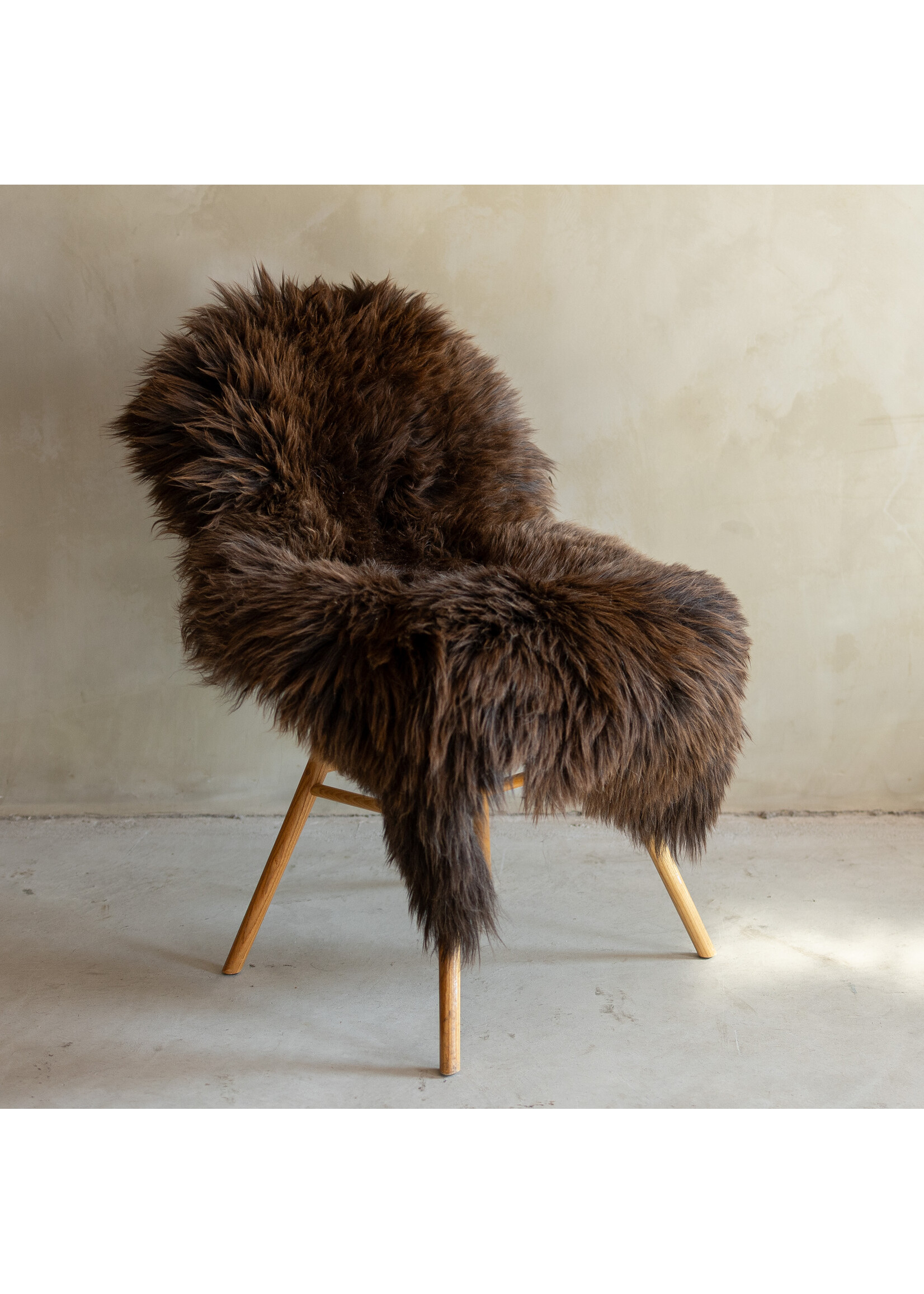 Van Buren sinds 1861 Einzeln fotografiertes Schaffell Meliert XXL - 124x70 - SVV-714