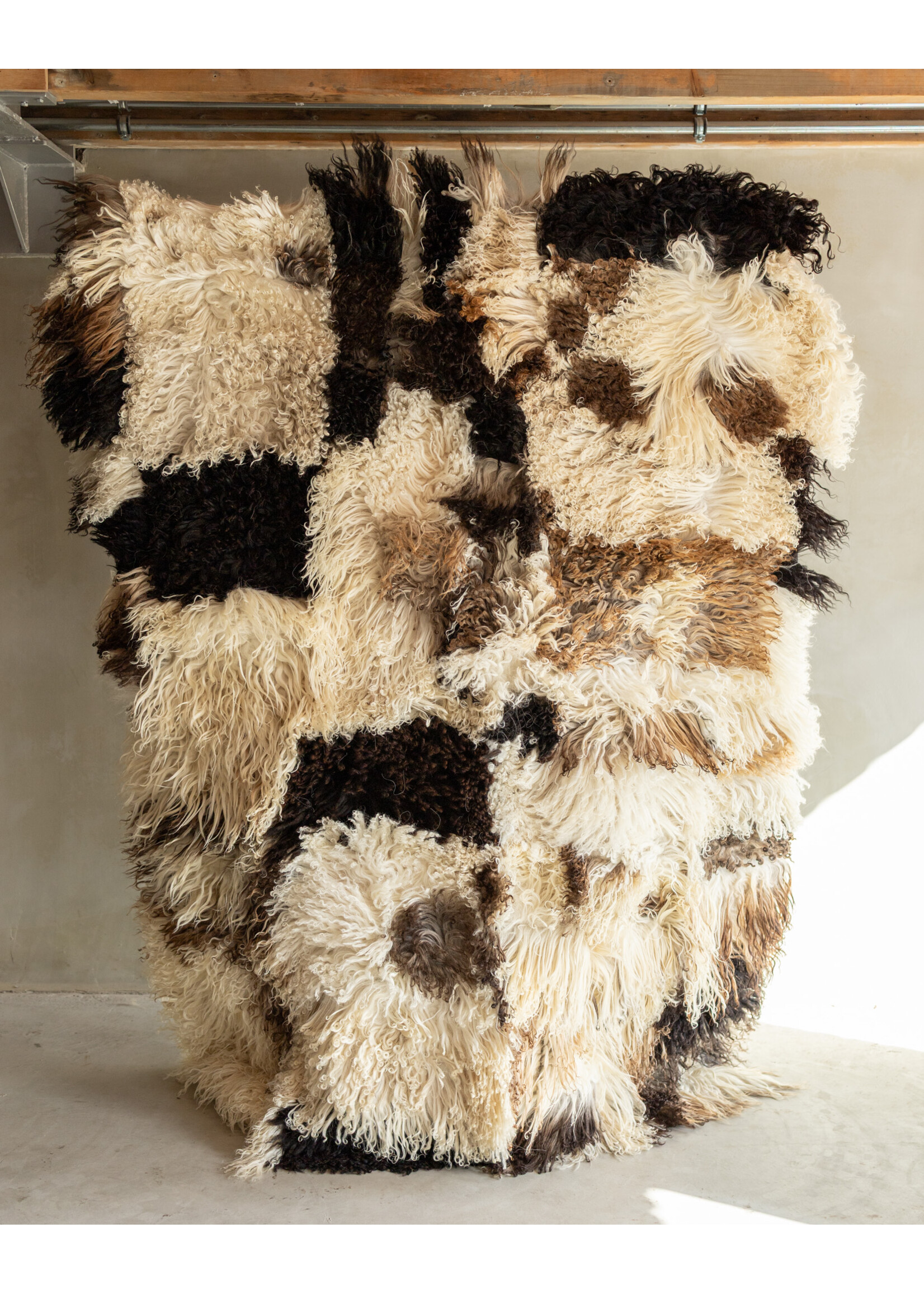 Van Buren sinds 1861 Uniquely Photographed Sheepskin Rug - Curly/Mountain Sheep - 200x150 cm - SKK-202