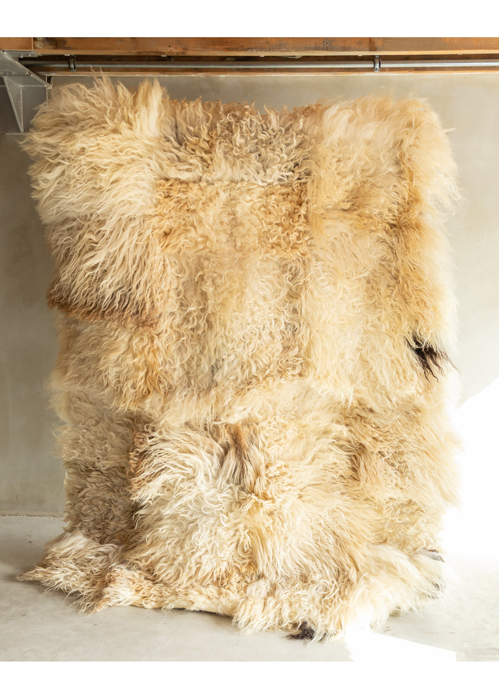 Van Buren sinds 1861 Uniquely Photographed Sheepskin Rug - Curly/Mountain Sheep - 200x150 cm - SKK-197