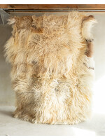 Van Buren sinds 1861 Unique Sheepskin - Curly/Mountain Sheep - SKK-198