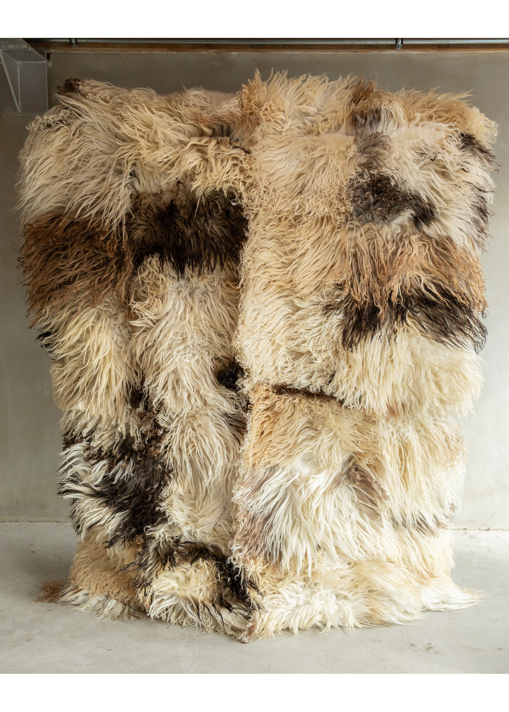 Van Buren sinds 1861 Uniquely Photographed Sheepskin Rug - Curly/Mountain Sheep - 200x150 cm - SKK-193