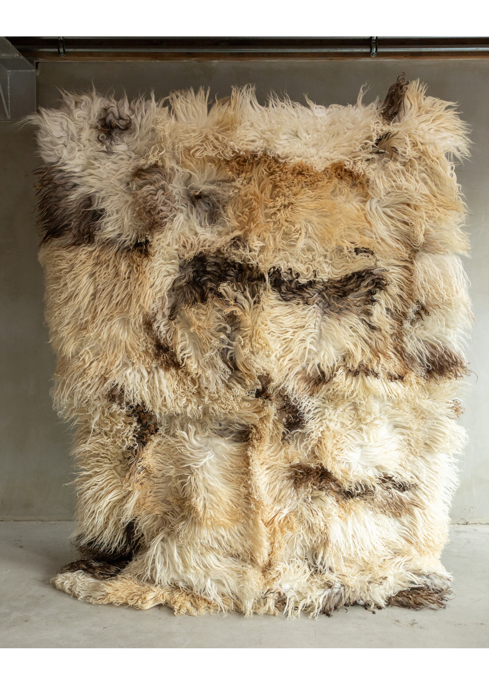 Van Buren sinds 1861 Photographié Séparément Tapis en Peau de Mouton - Bouclé/Mouton de Montagne - 200x150 cm - SKK-192