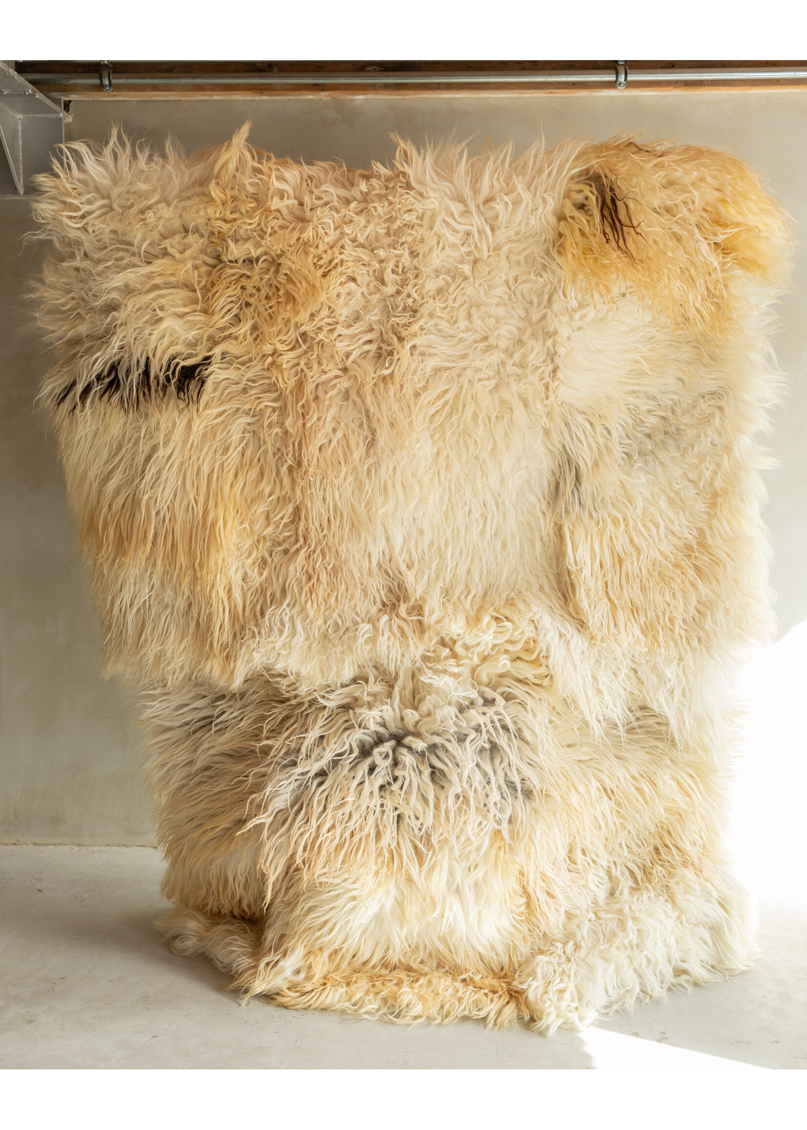 Van Buren sinds 1861 Photographié Séparément Tapis en Peau de Mouton - Bouclé/Mouton de Montagne - 200x150 cm - SKK-199