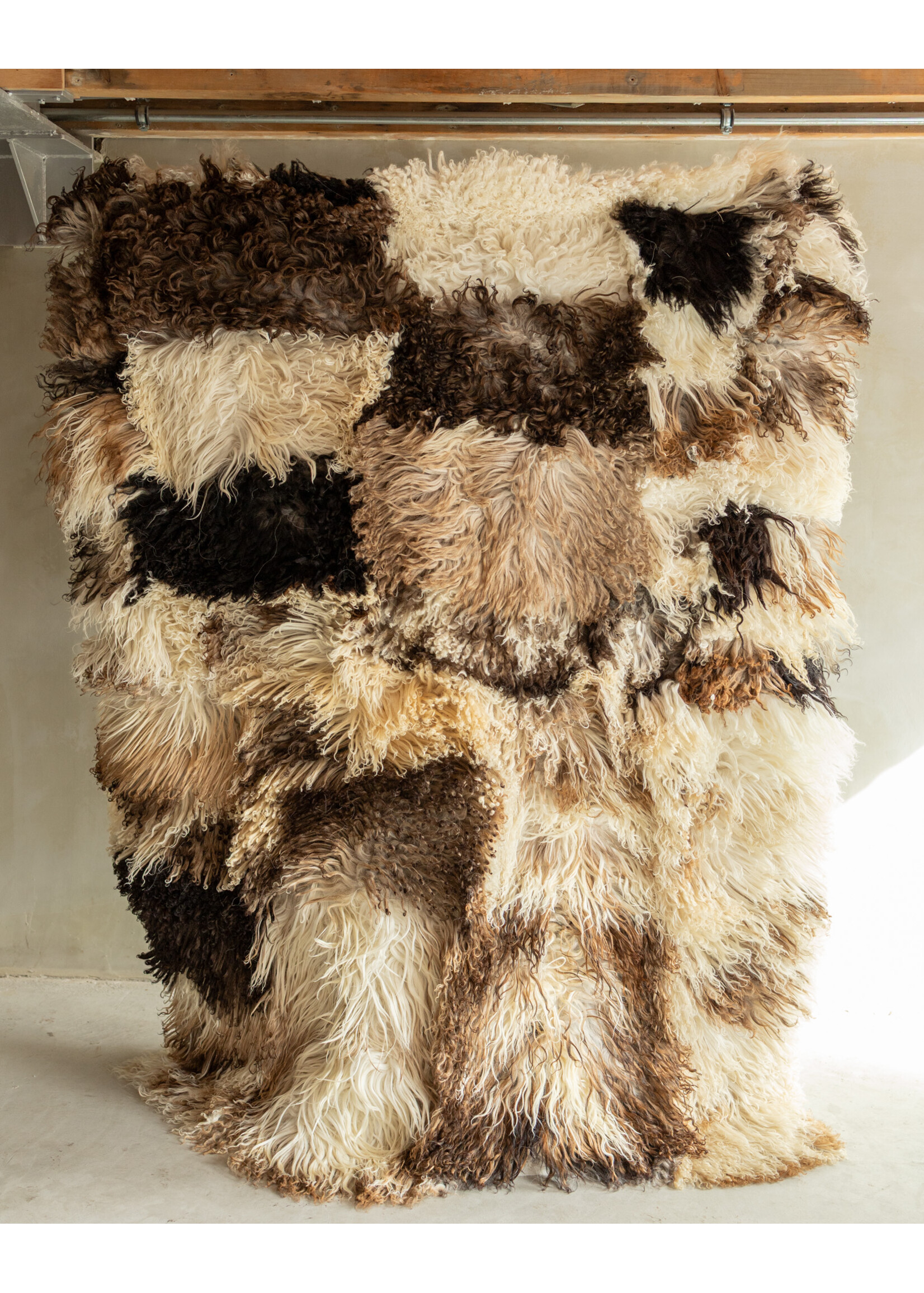 Van Buren sinds 1861 Uniquely Photographed Sheepskin Rug - Curly/Mountain Sheep - 200x150 cm - SKK-195