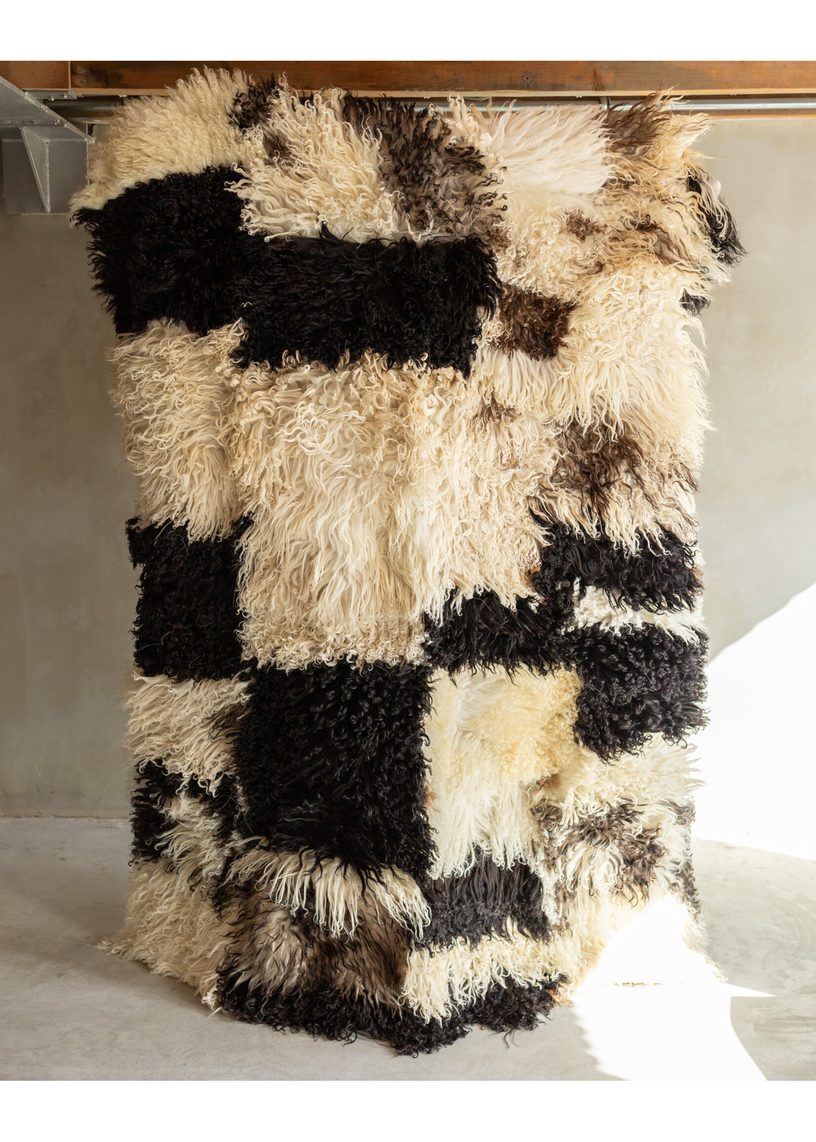 Van Buren sinds 1861 Uniquely Photographed Sheepskin Rug - Curly/Mountain Sheep - 200x150 cm - SKK-204