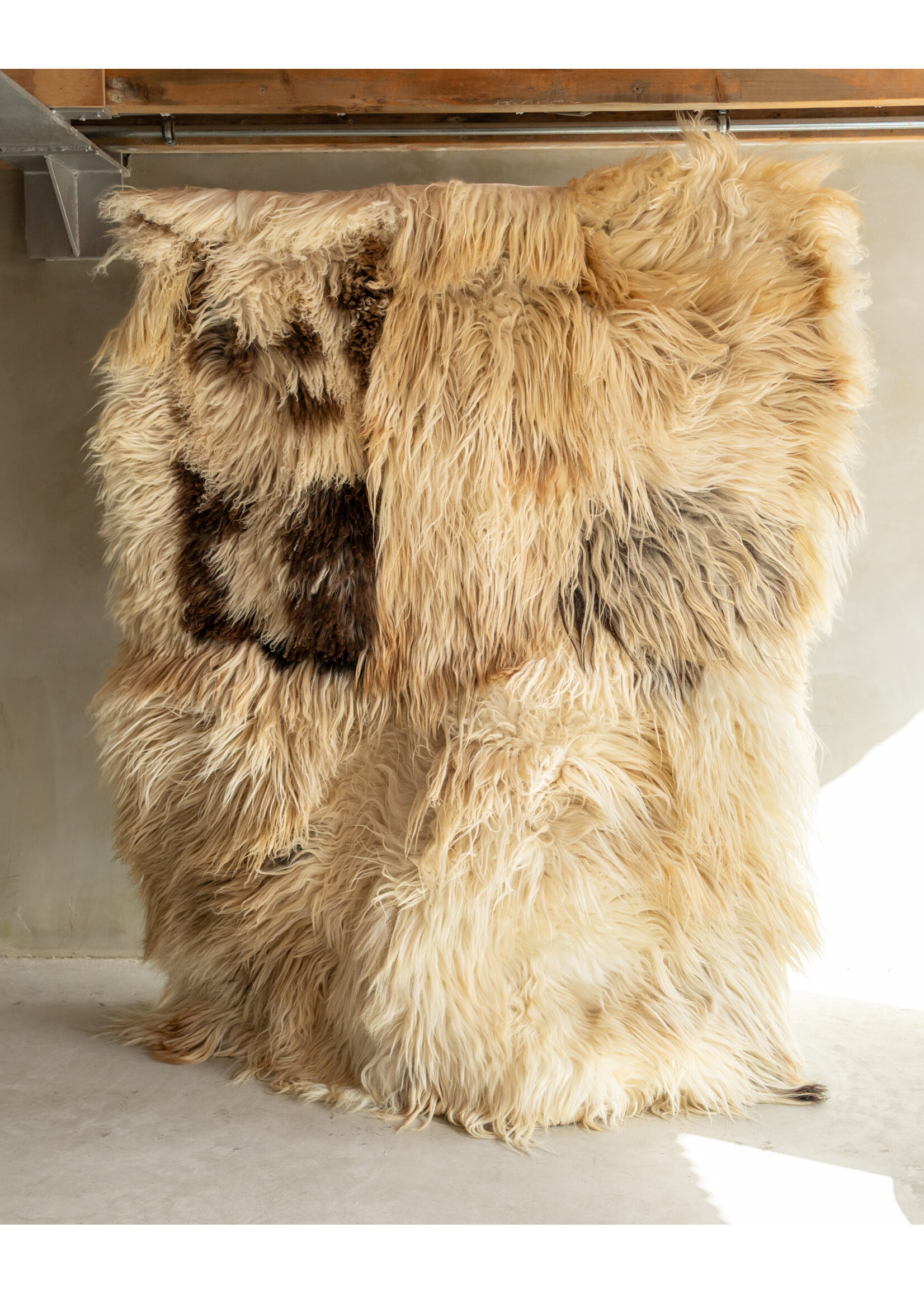 Van Buren sinds 1861 Separat Fotografiert Schaffell Bodenteppich (Teppich) - Lockig/Bergschaf - 200x150 cm - SKK-200