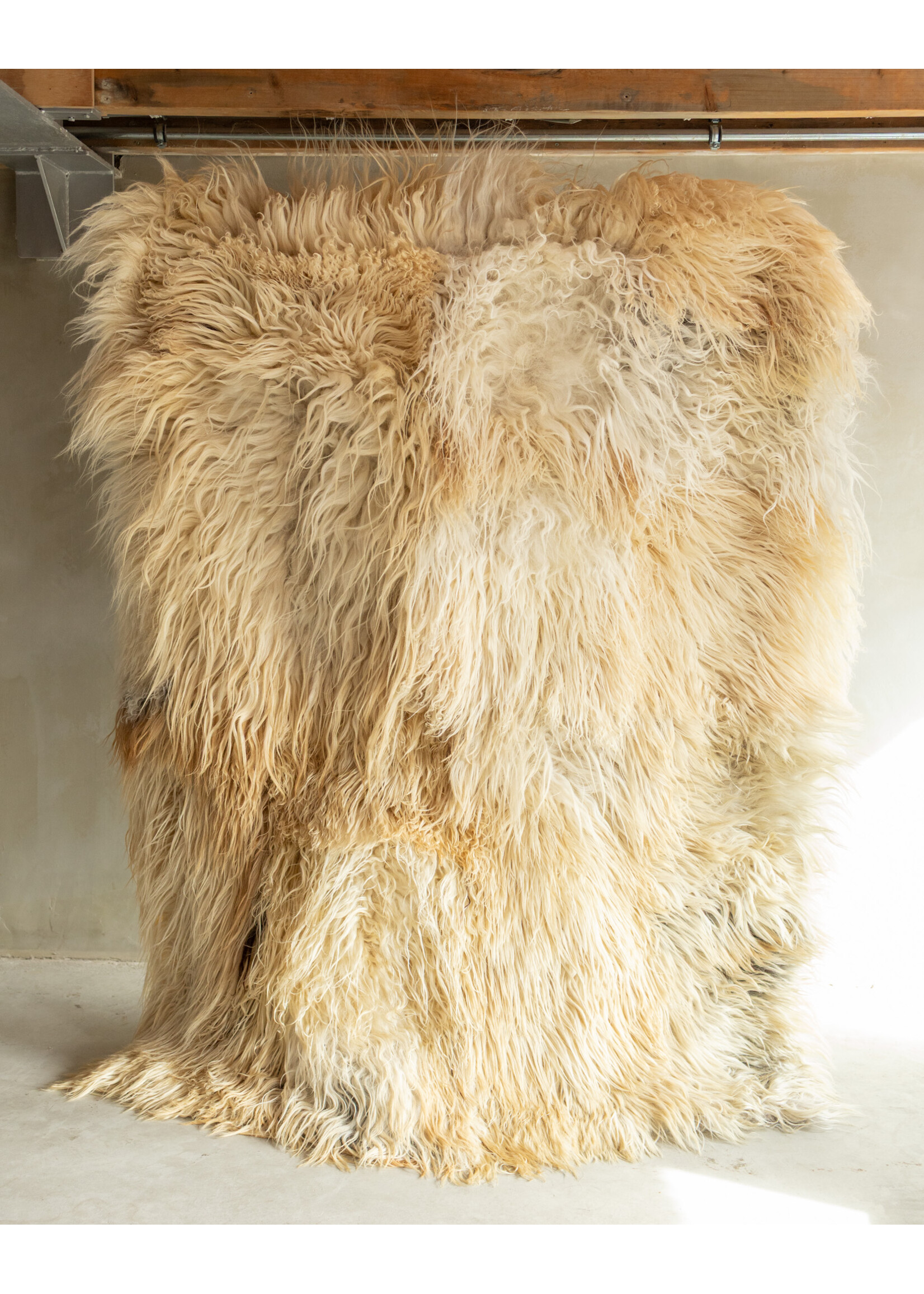 Van Buren sinds 1861 Uniquely Photographed Sheepskin Rug - Curly/Mountain Sheep - 200x150 cm - SKK-194