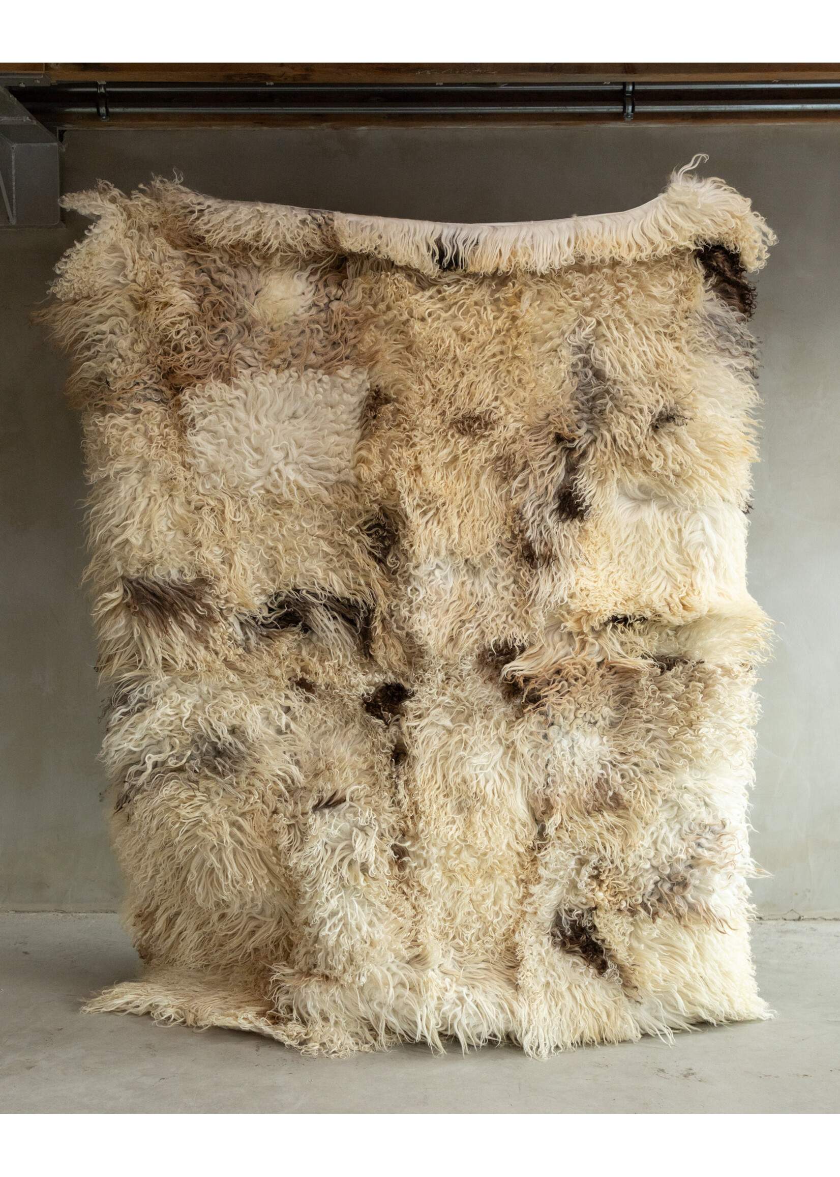 Van Buren sinds 1861 Photographié Séparément Tapis en Peau de Mouton - Bouclé/Mouton de Montagne - 200x150 cm - SKK-190