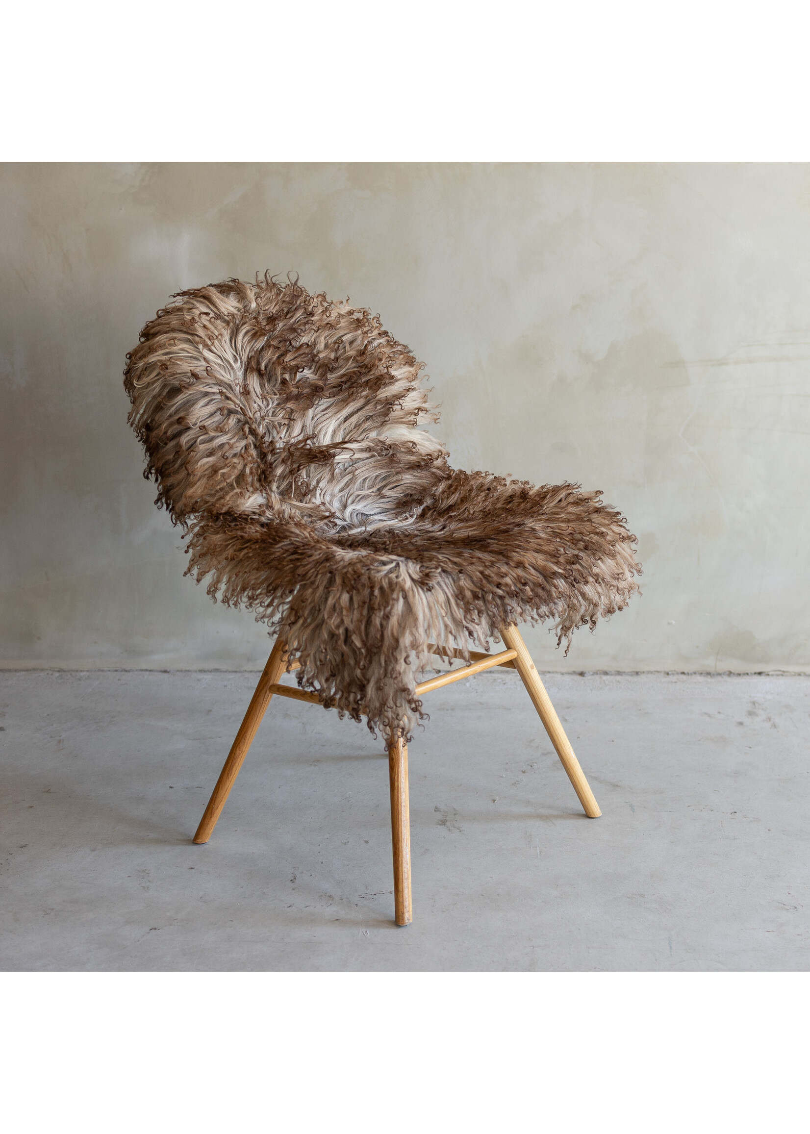 Van Buren sinds 1861 Separately photographed Curly/Mountain sheepskin - ca. 120x65cm - SVV-754