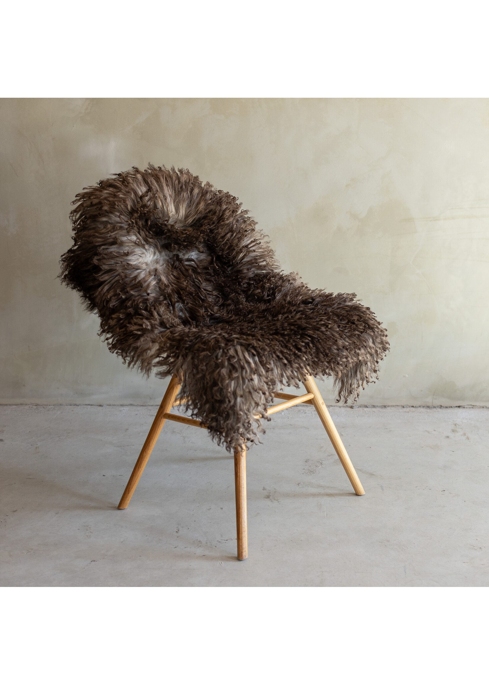 Van Buren sinds 1861 Separately photographed Curly/Mountain sheepskin - ca. 104x63cm - SVV-873