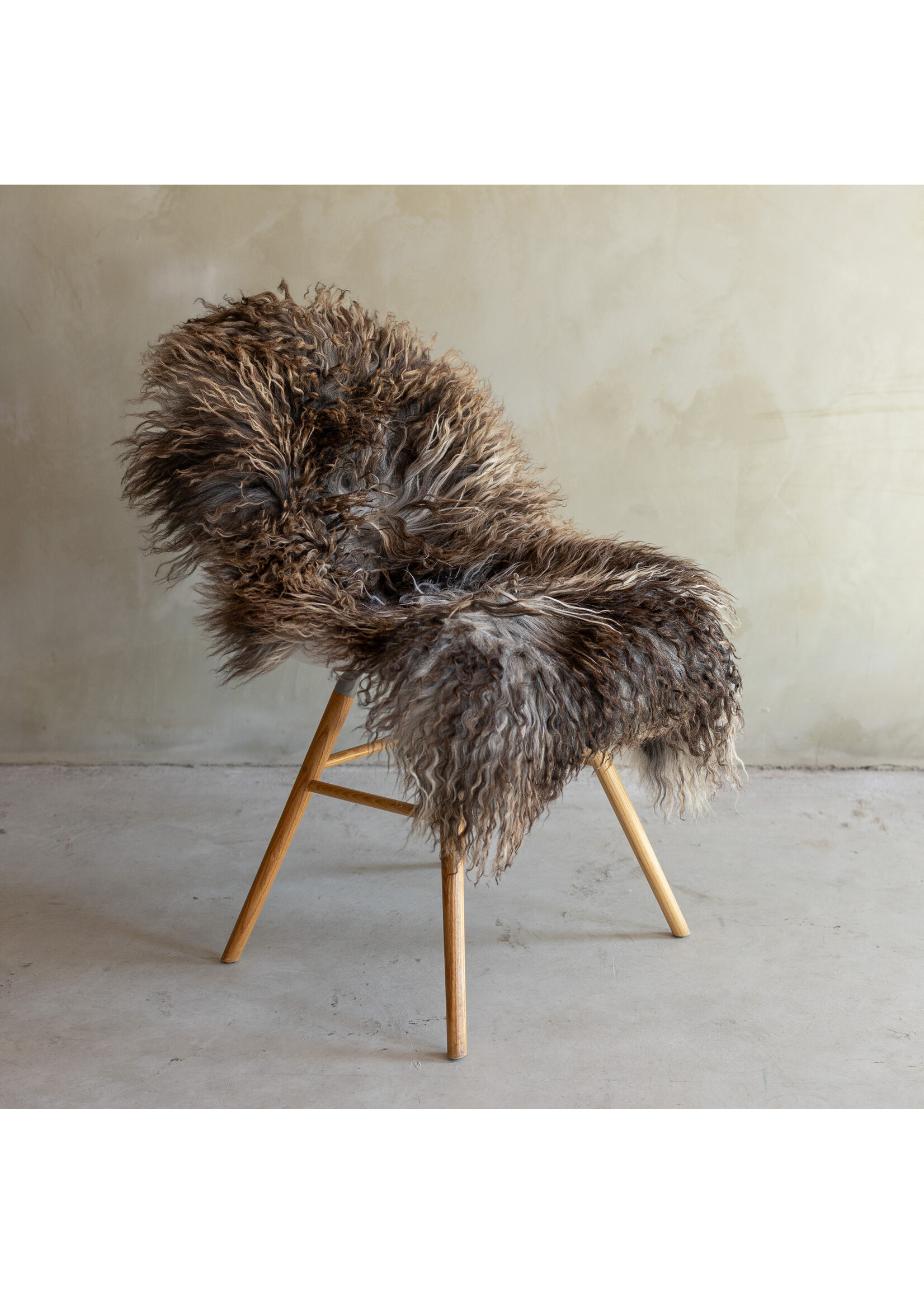 Van Buren sinds 1861 Separately photographed Curly/Mountain sheepskin - ca. 108x65cm - SVV-855