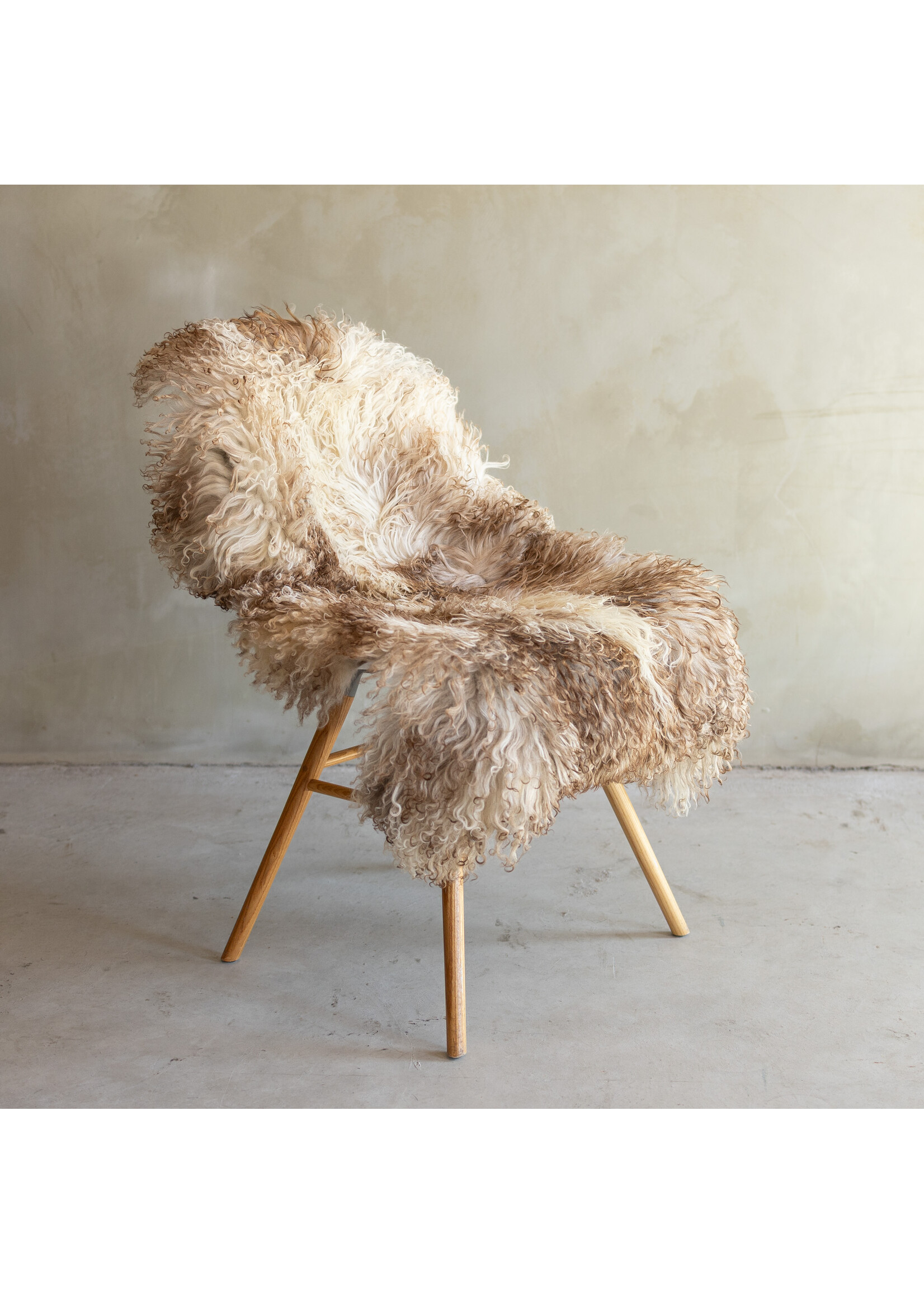 Van Buren sinds 1861 Separately photographed Curly/Mountain sheepskin - ca. 108x70cm - SVV-862