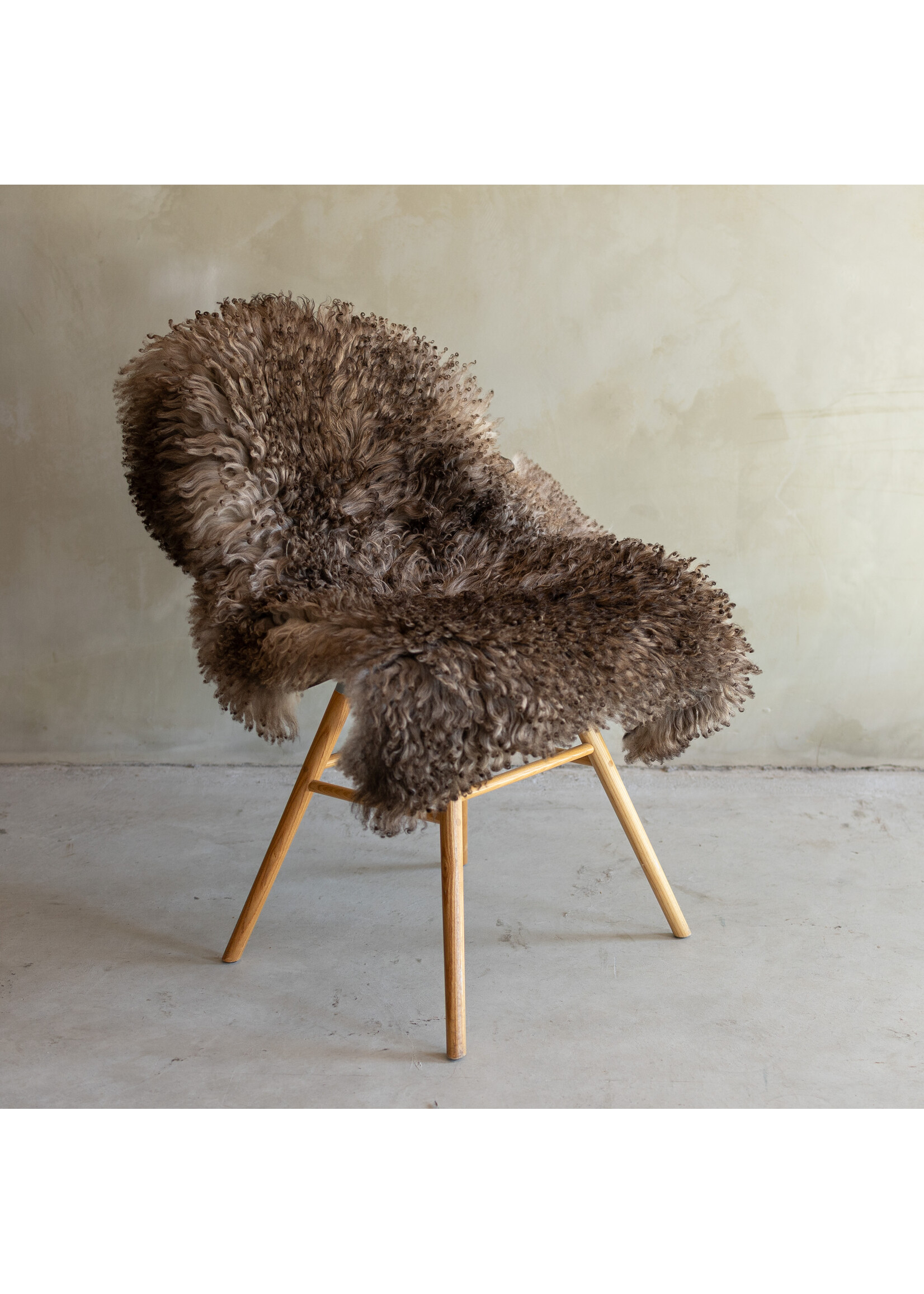 Van Buren sinds 1861 Separately photographed Curly/Mountain sheepskin - ca. 100x70cm - SVV-832