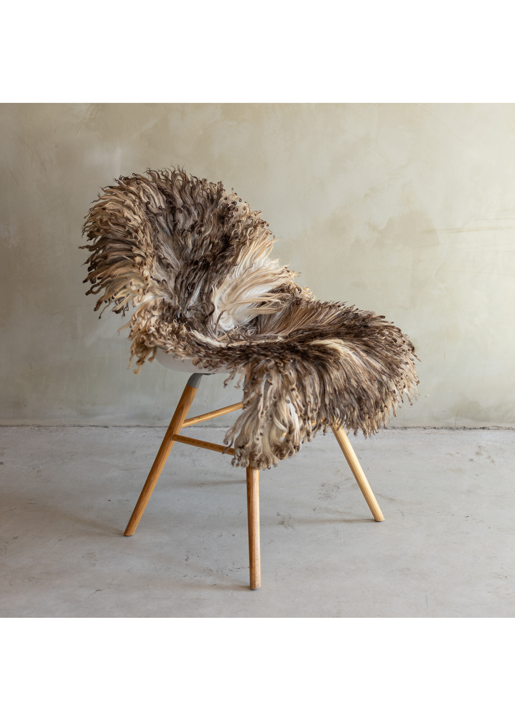 Van Buren sinds 1861 Separately photographed Curly/Mountain sheepskin - ca. 114x58cm - SVV-876