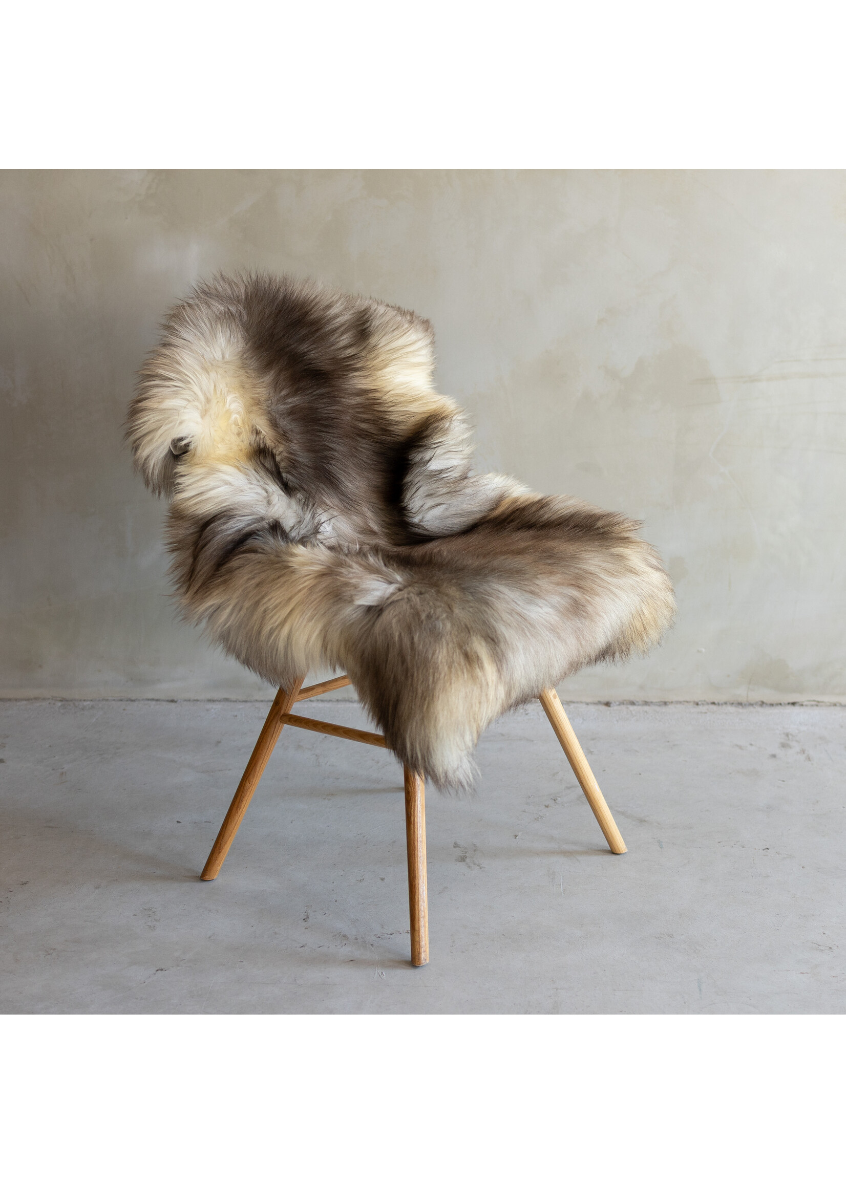 Van Buren sinds 1861 Separately photographed Icelandic natural gray sheepskin - ca. 119x74cm - SVV-763