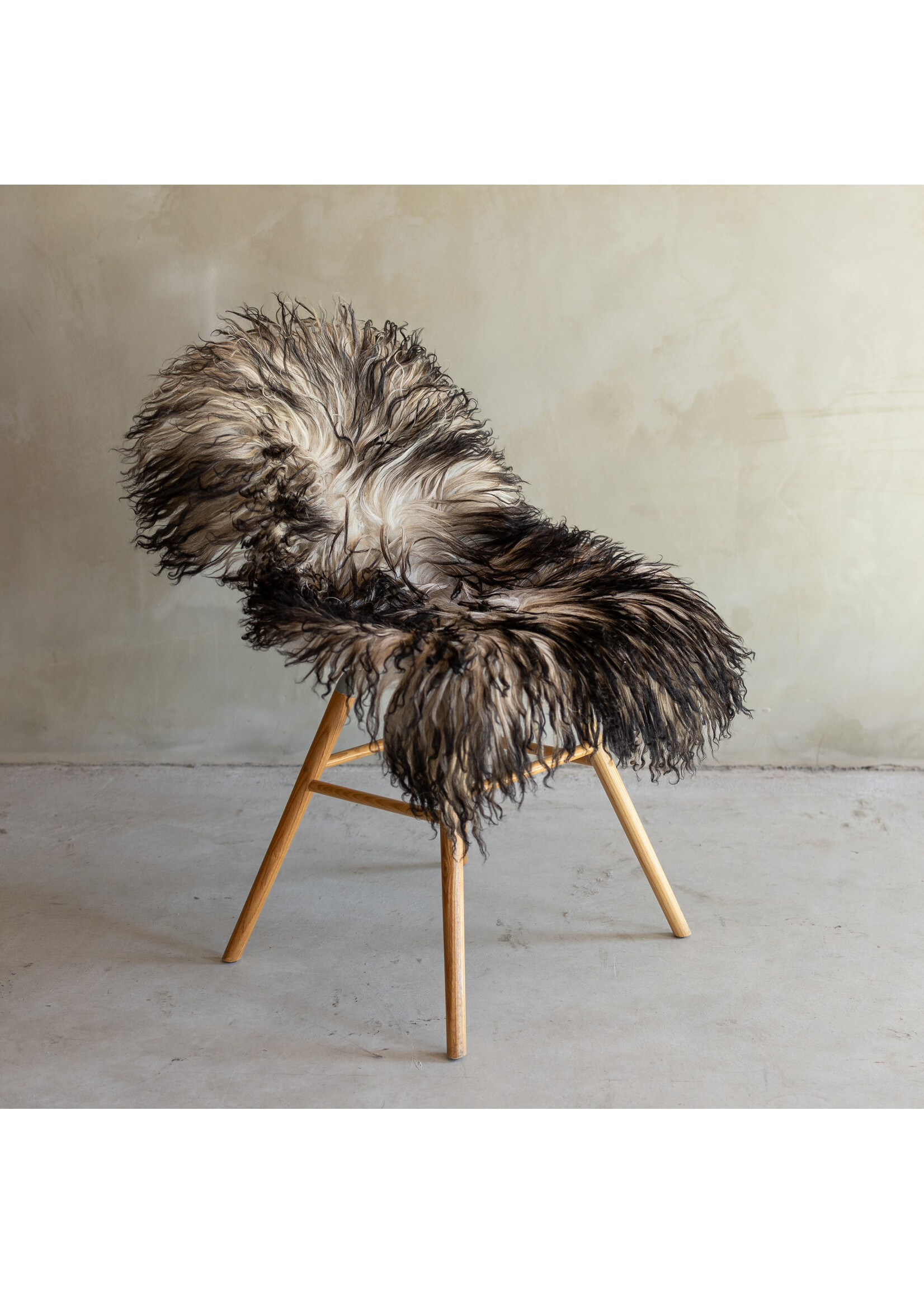 Van Buren sinds 1861 Separately photographed Curly/Mountain sheepskin - ca. 104x67cm - SVV-837