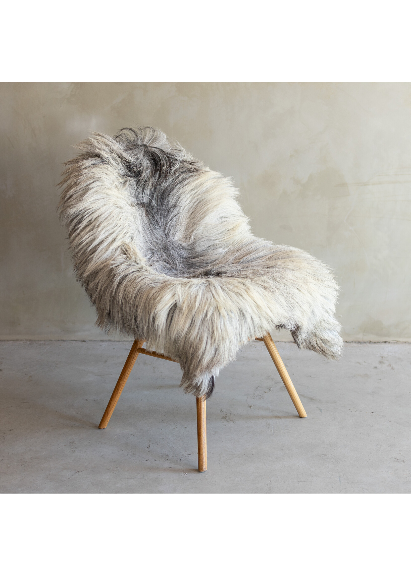 Van Buren sinds 1861 Uniek gefotografeerd Heide schapenvacht XXL - ca. 115x85cm - SVV-817