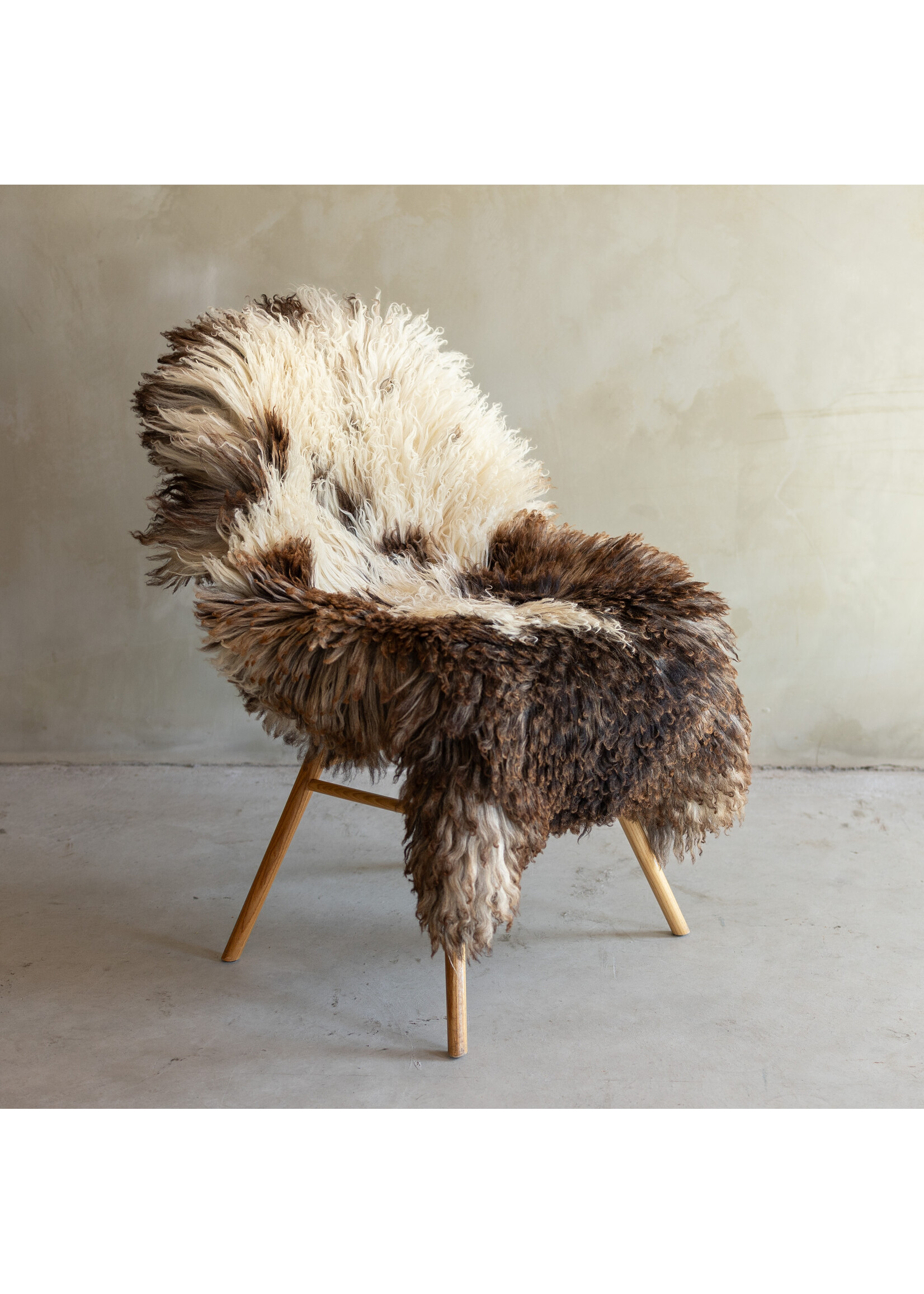 Van Buren sinds 1861 Separately photographed Curly/Mountain sheepskin - ca. 120x77cm - SVV-872