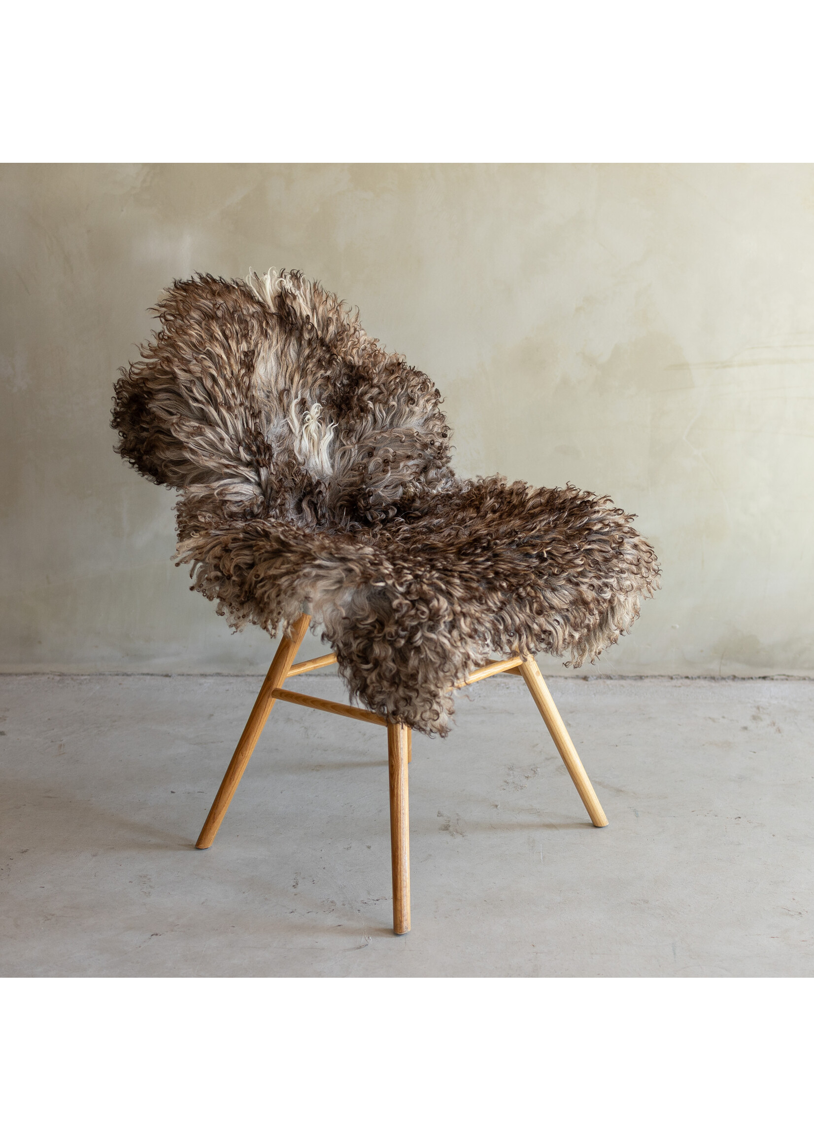 Van Buren sinds 1861 Separately photographed Curly/Mountain sheepskin - ca. 97x64cm - SVV-835