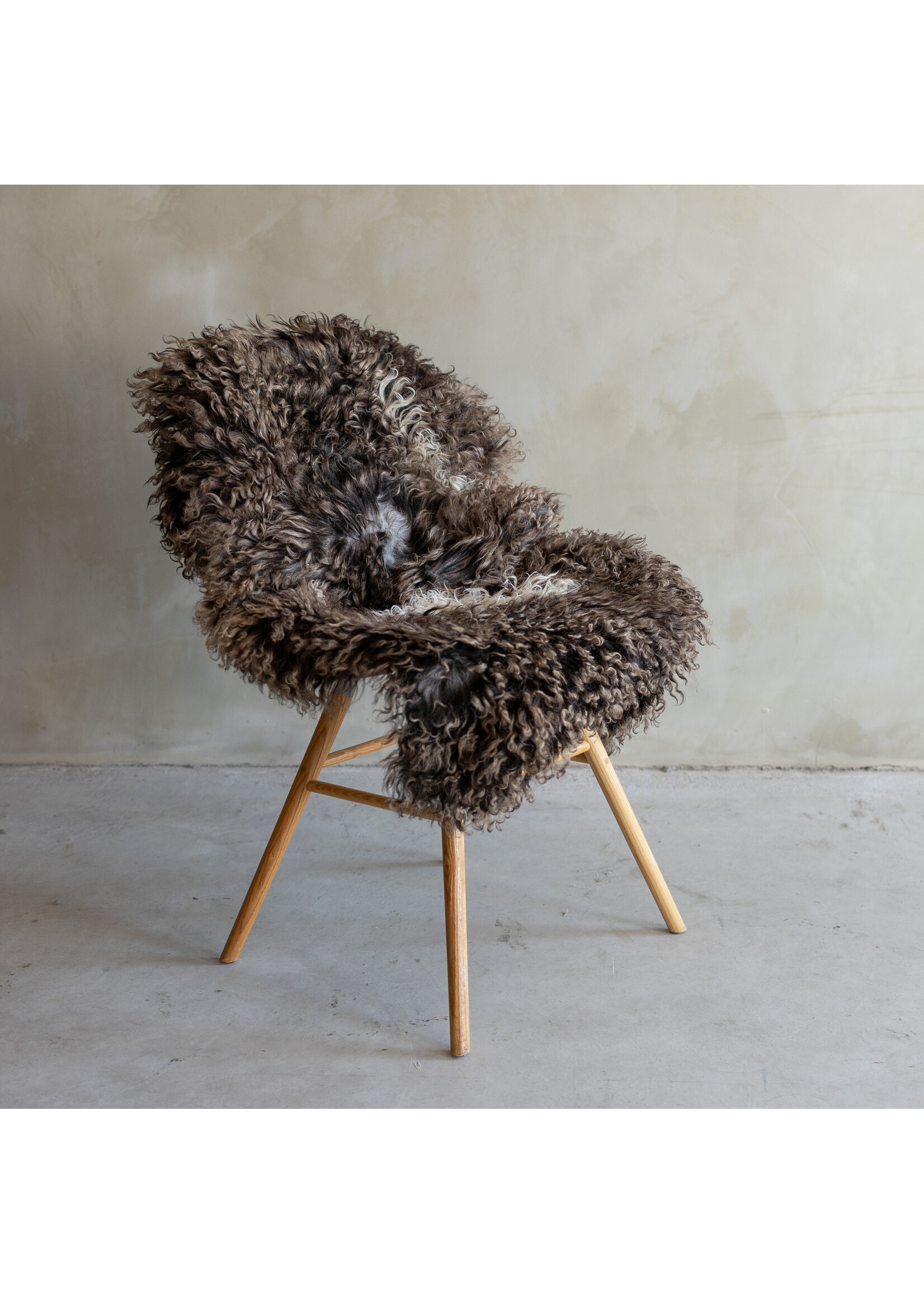 Van Buren sinds 1861 Separately photographed Curly/Mountain sheepskin - ca. 112x71cm - SVV-753