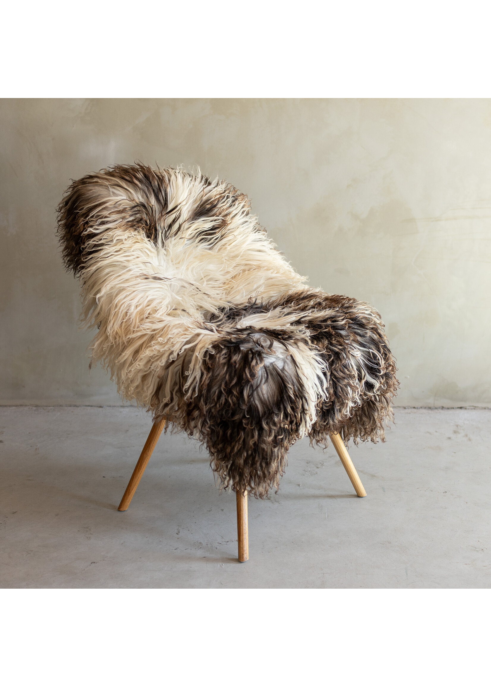 Van Buren sinds 1861 Separately photographed Curly/Mountain sheepskin - ca. 114x77cm - SVV-859