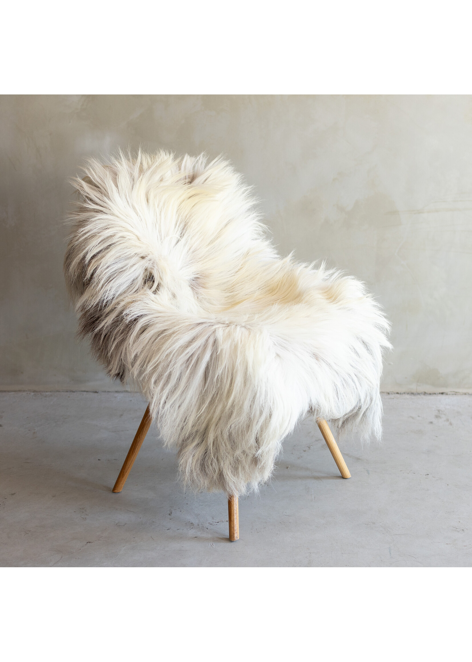 Van Buren sinds 1861 Uniek gefotografeerd Heide schapenvacht XXL - ca. 144x80cm - SVV-779