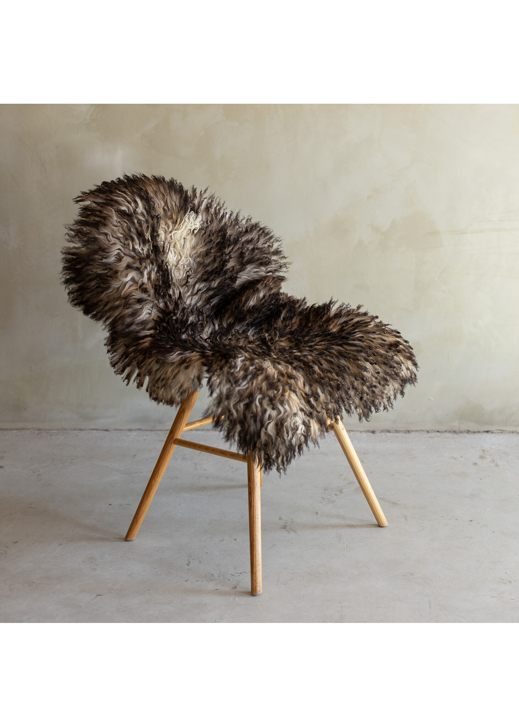 Van Buren sinds 1861 Separately photographed Curly/Mountain sheepskin - ca. 100x64cm - SVV-840