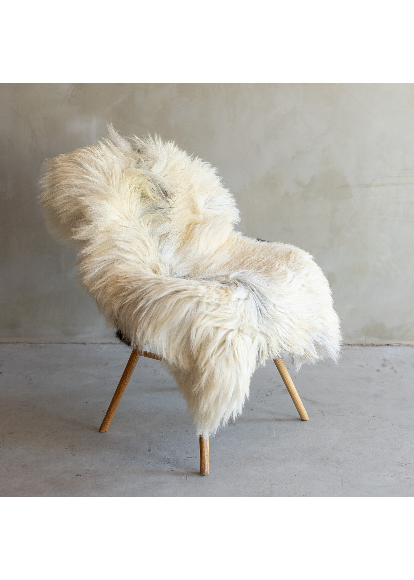 Van Buren sinds 1861 Separately photographed Heath sheepskin XXL - ca. 118x77cm - SVV-794