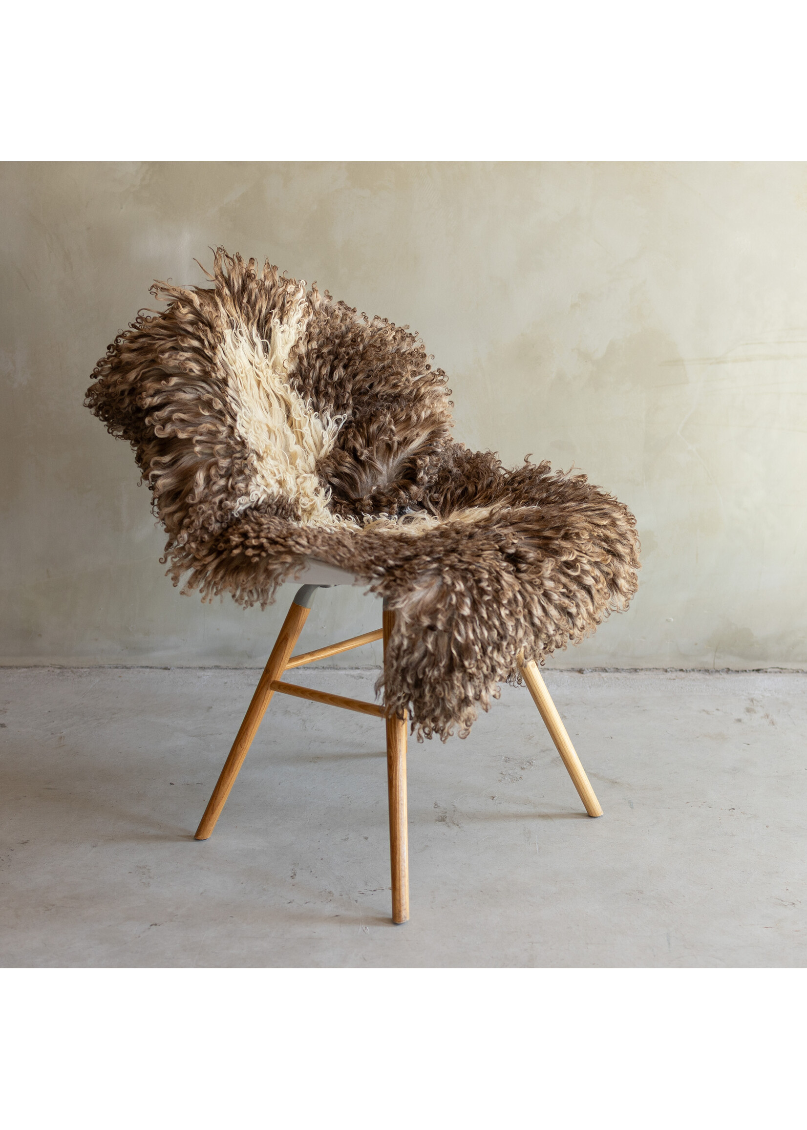 Van Buren sinds 1861 Separately photographed Curly/Mountain sheepskin - ca. 105x66cm - SVV-860