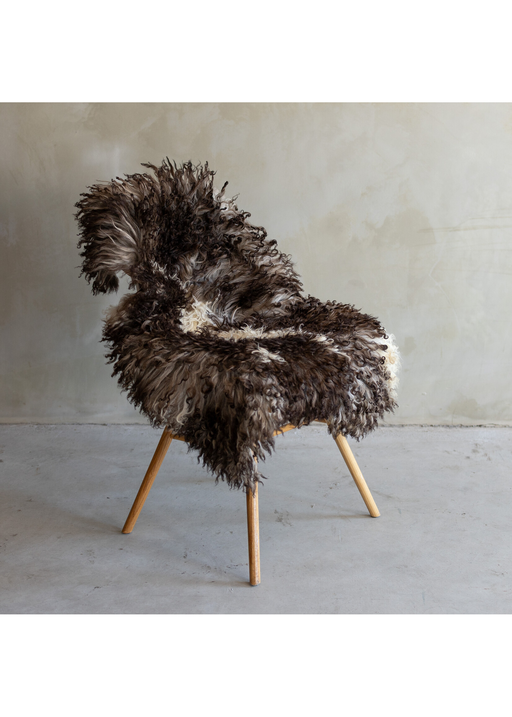 Van Buren sinds 1861 Separately photographed Curly/Mountain sheepskin - ca. 119x72cm - SVV-752