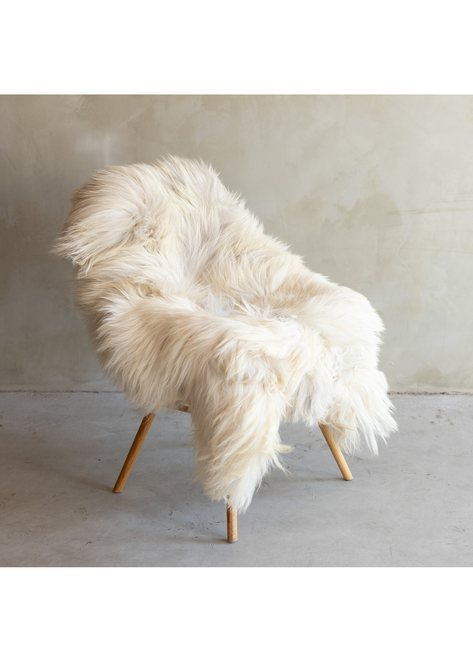 Van Buren sinds 1861 Uniek gefotografeerd Heide schapenvacht XXL - ca. 120x90cm - SVV-820