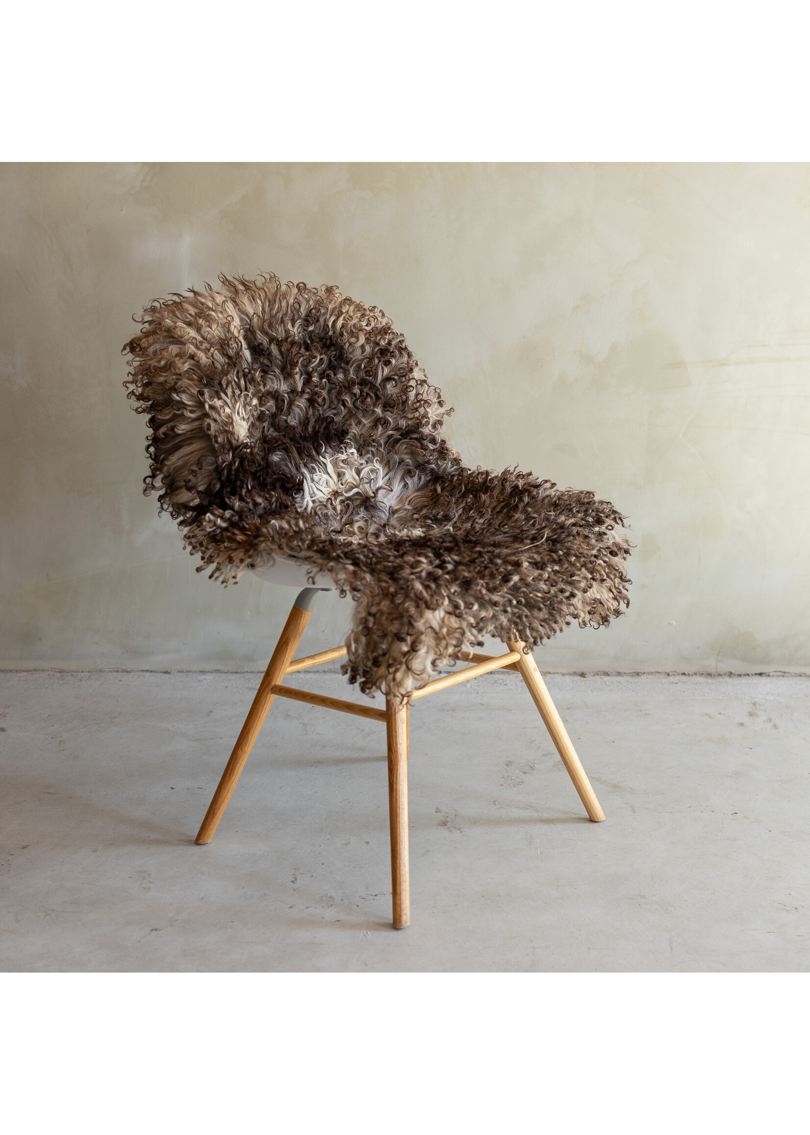 Van Buren sinds 1861 Separately photographed Curly/Mountain sheepskin - ca. 100x63cm - SVV-866