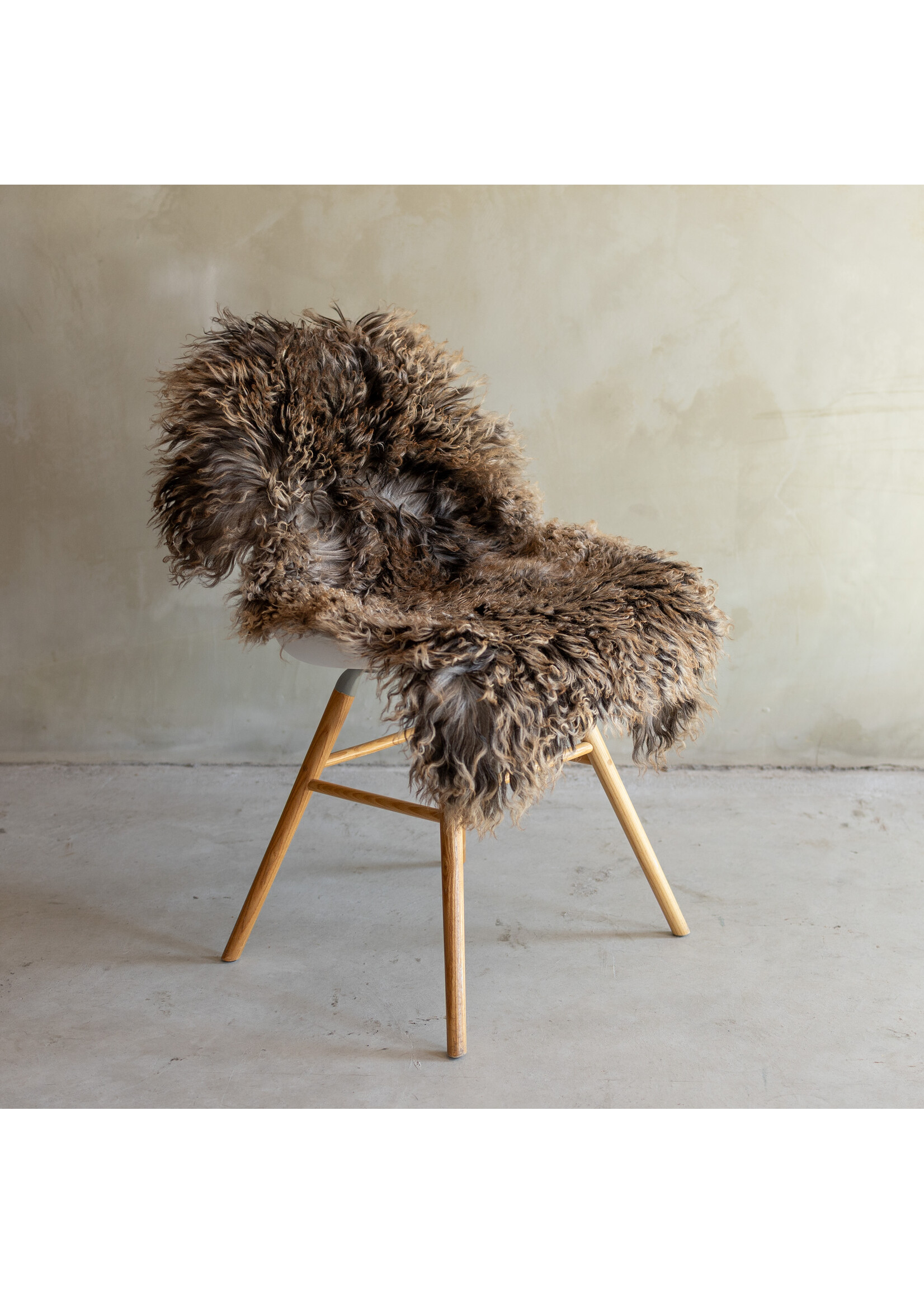 Van Buren sinds 1861 Separately photographed Curly/Mountain sheepskin - ca. 98x64cm - SVV-865