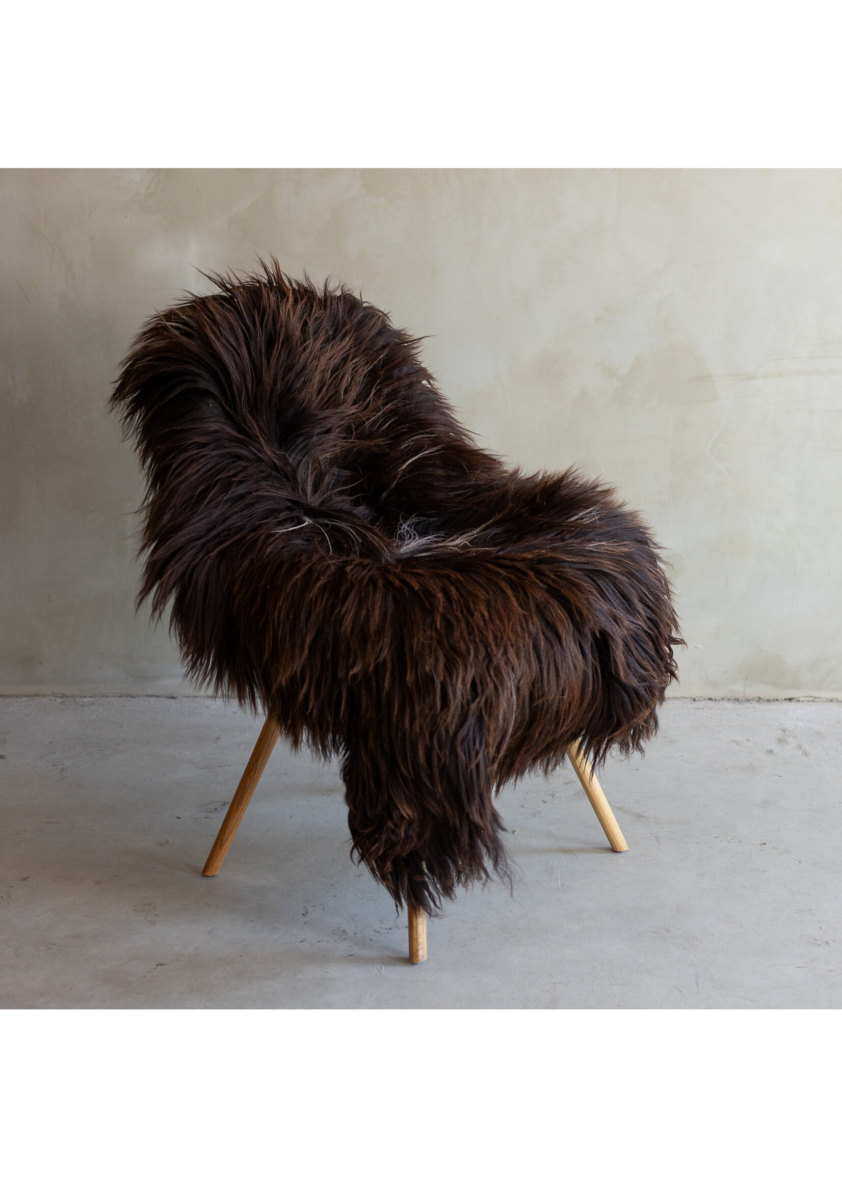 Van Buren sinds 1861 Uniek gefotografeerd Heide schapenvacht XXL - ca. 130x75cm - SVV-788