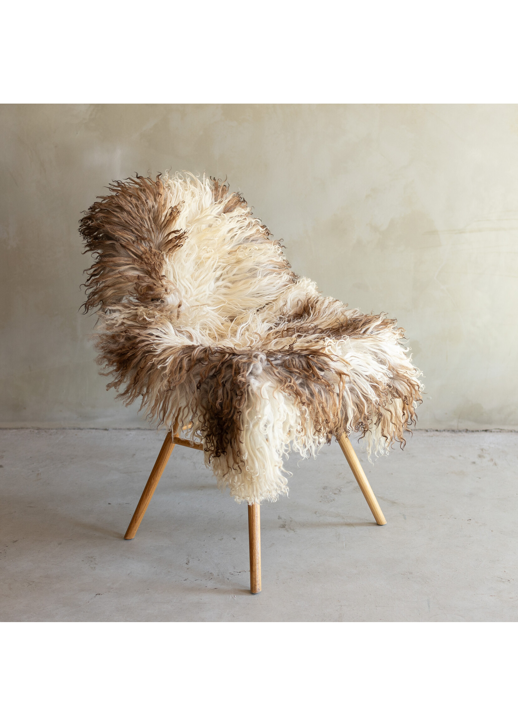 Van Buren sinds 1861 Separately photographed Curly/Mountain sheepskin - ca. 113x70cm - SVV-864