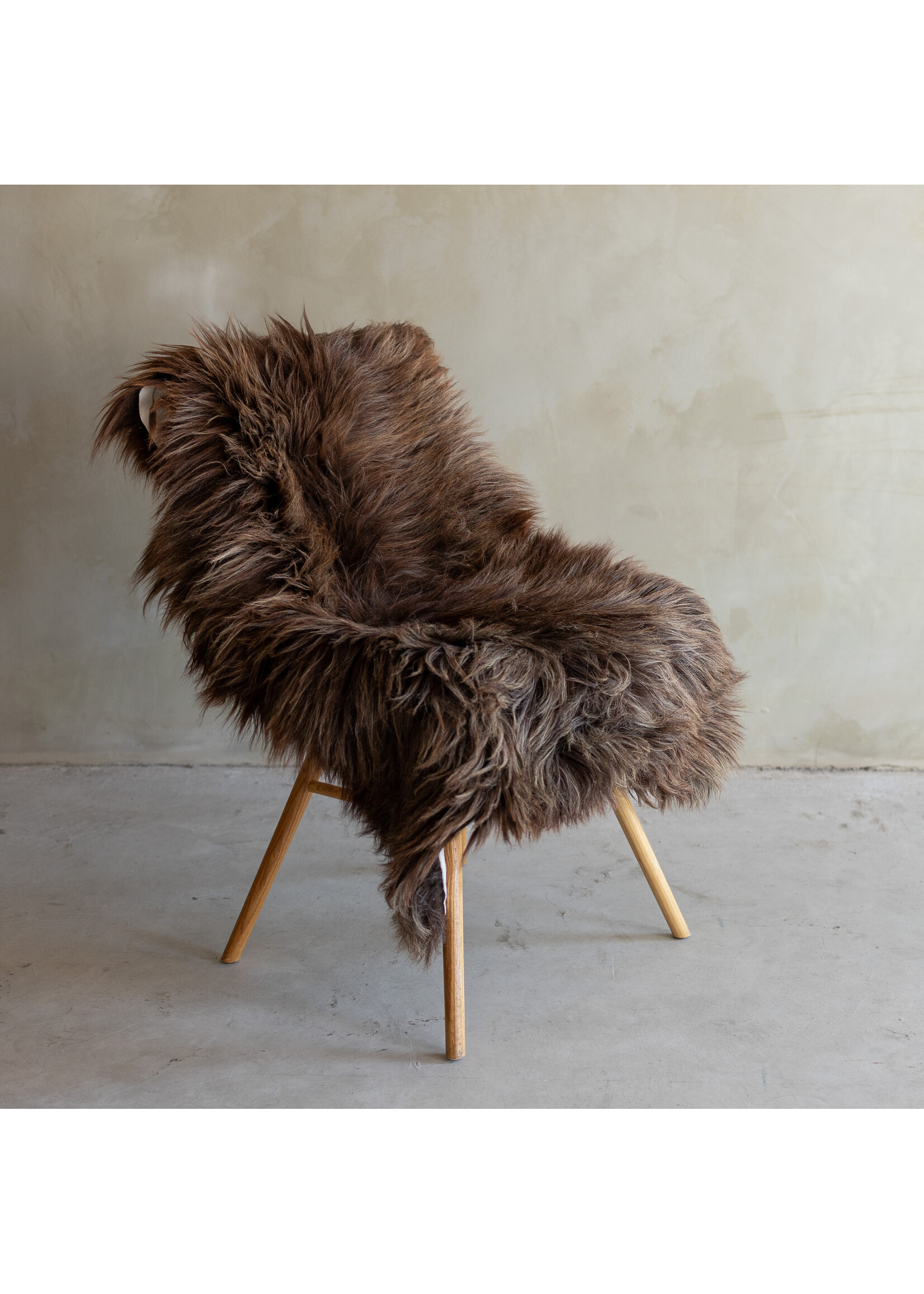 Van Buren sinds 1861 Uniek gefotografeerd Heide schapenvacht XXL - ca. 140x63cm - SVV-816