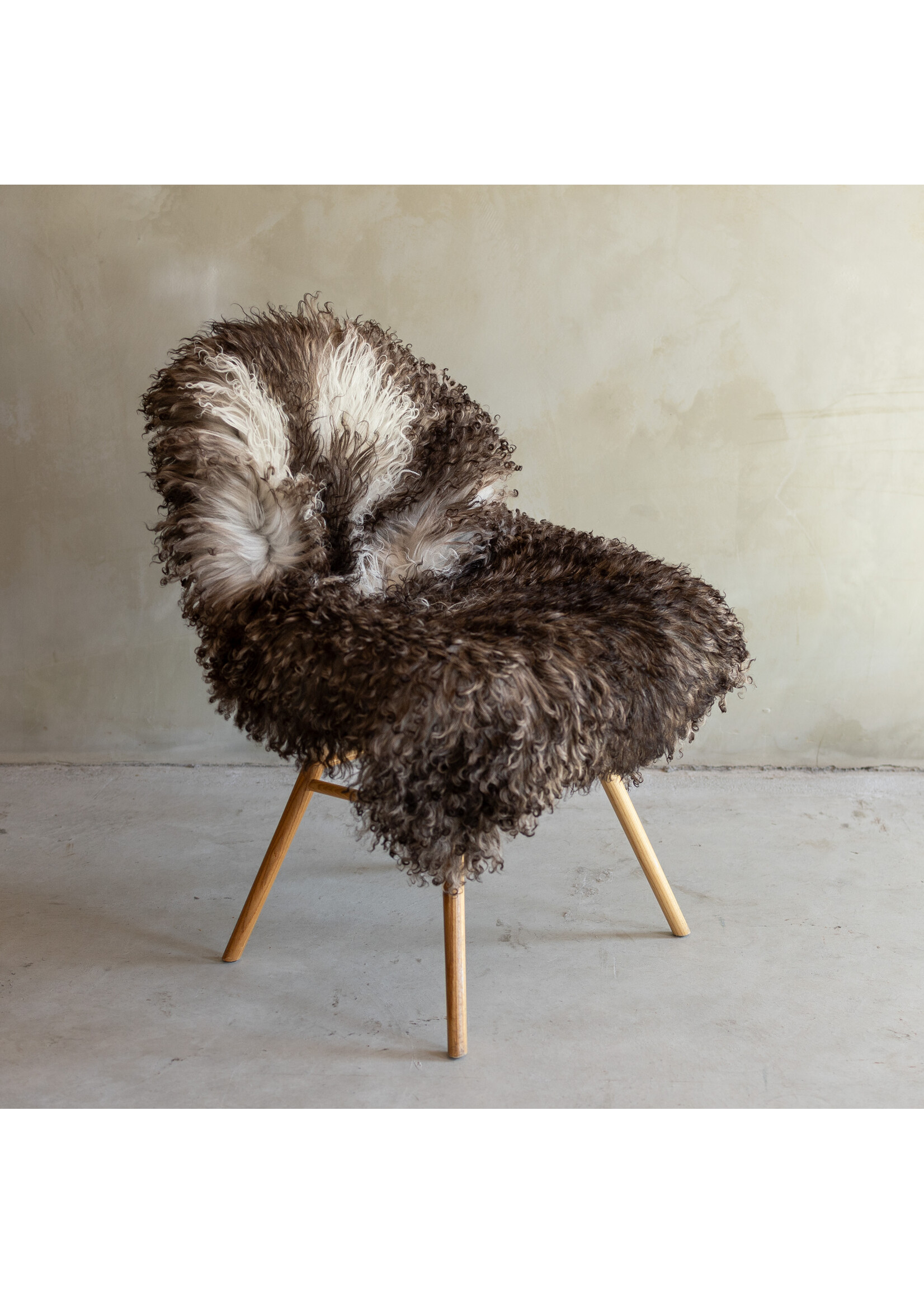 Van Buren sinds 1861 Separately photographed Curly/Mountain sheepskin - ca. 113x73cm - SVV-869