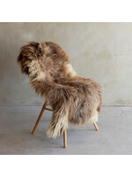 Van Buren sinds 1861 Unikat Heideschaf Schaffell XXL - SVV-810