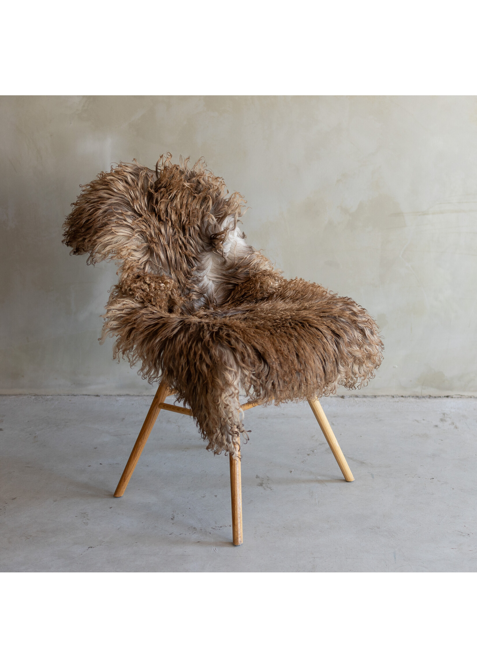 Van Buren sinds 1861 Separately photographed Curly/Mountain sheepskin - ca. 120x69cm - SVV-751