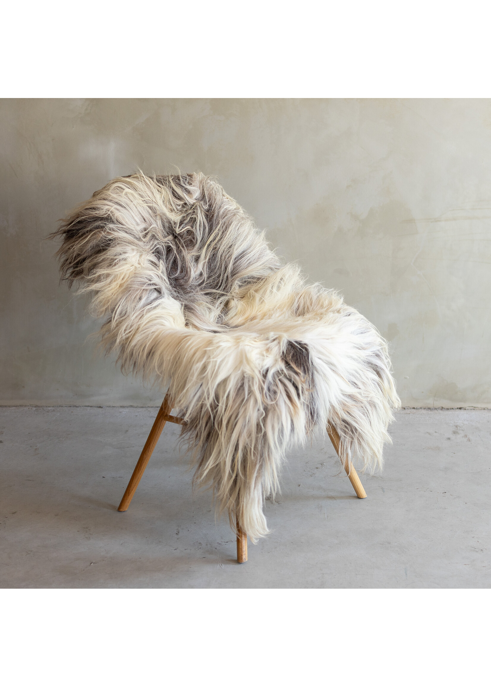 Van Buren sinds 1861 Uniek gefotografeerd Heide schapenvacht XXL - ca. 127x63cm - SVV-799