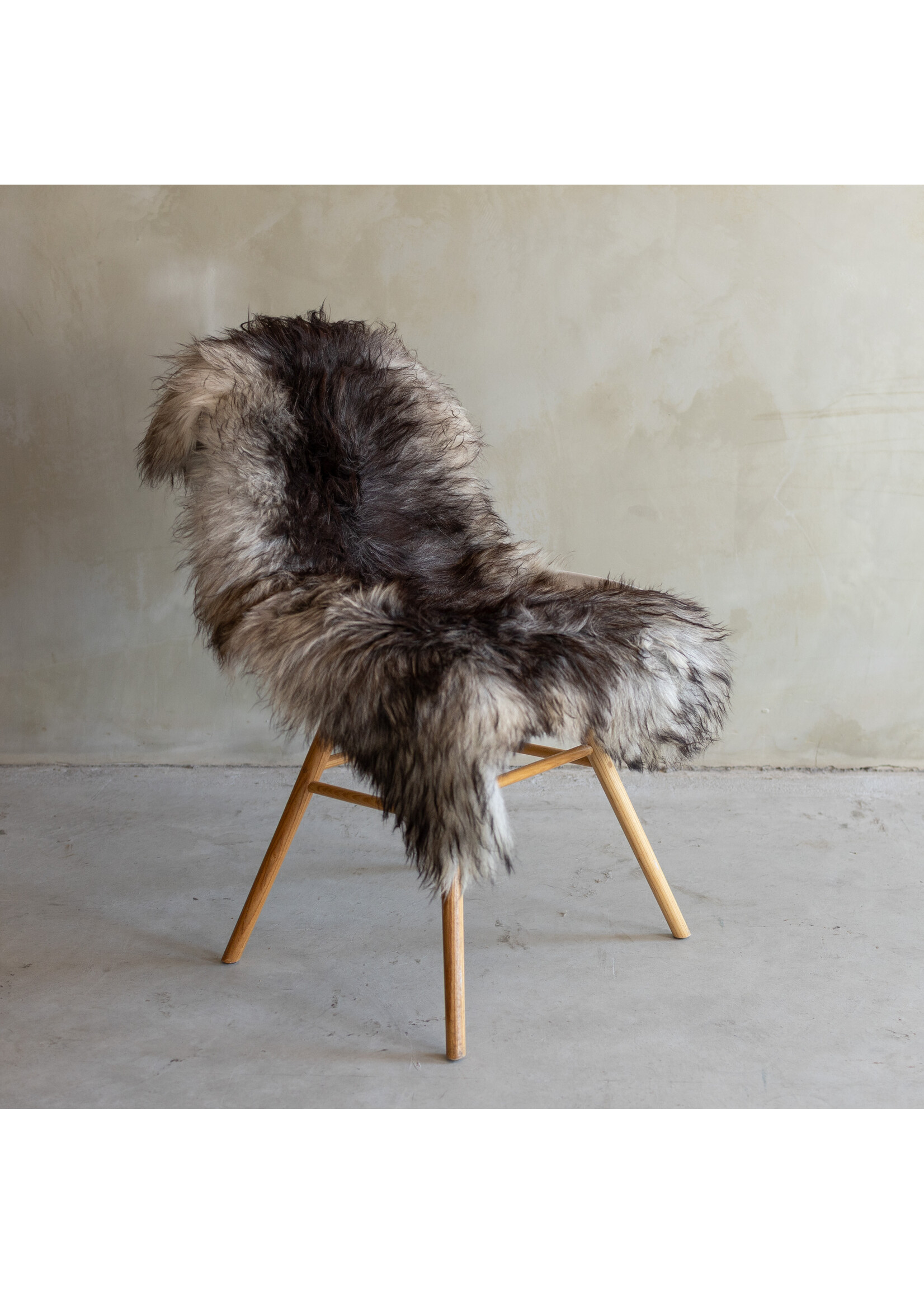 Van Buren sinds 1861 Separately photographed Heath sheepskin XXL - ca. 120x62cm - SVV-814