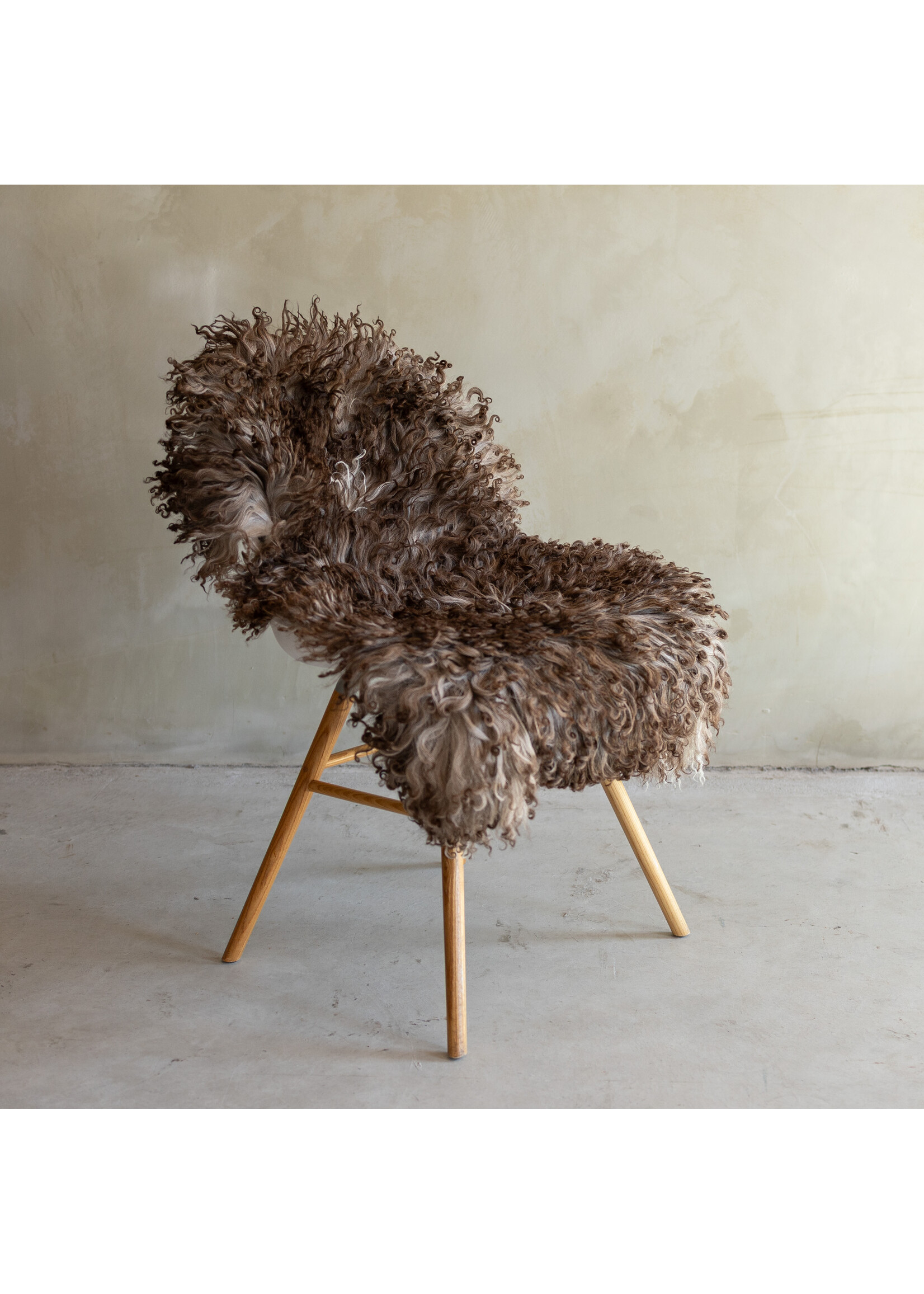 Van Buren sinds 1861 Separately photographed Curly/Mountain sheepskin - ca. 109x60cm - SVV-871