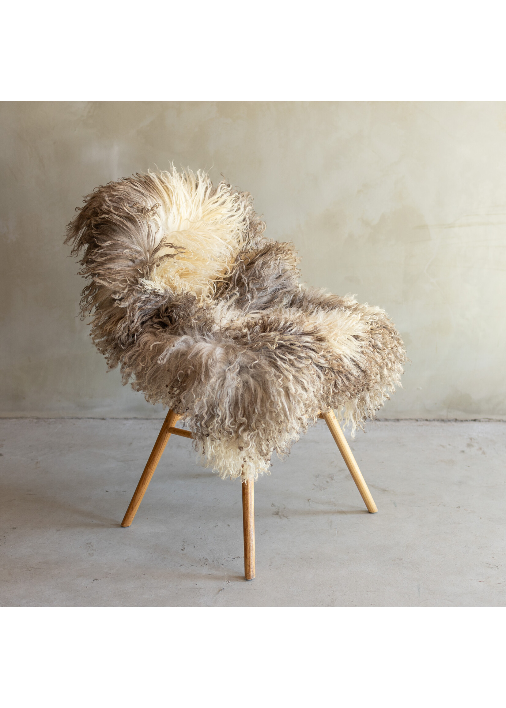 Van Buren sinds 1861 Separately photographed Curly/Mountain sheepskin - ca. 120x74cm - SVV-846