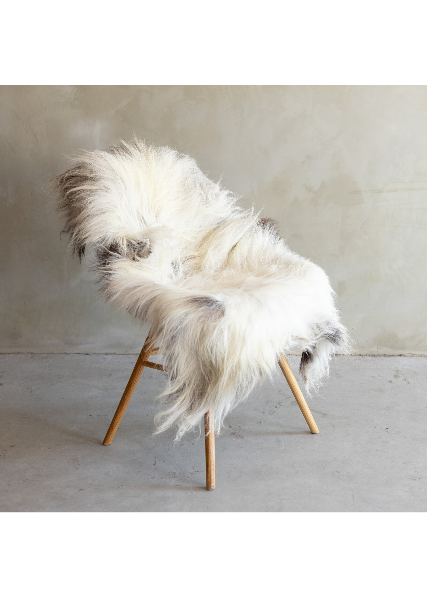 Van Buren sinds 1861 Separately photographed Heath sheepskin XXL - ca. 125x75cm - SVV-815