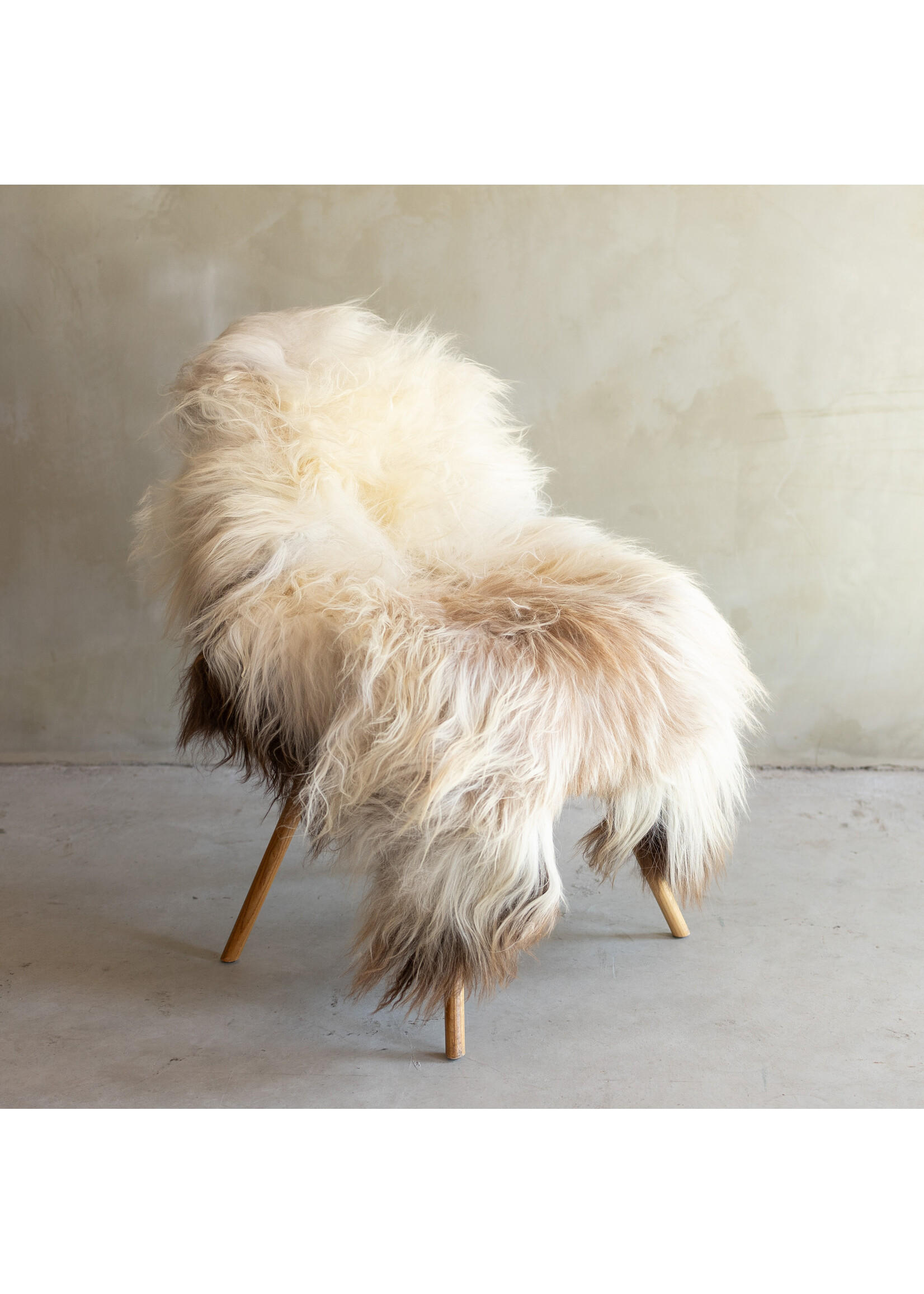 Van Buren sinds 1861 Separately photographed Icelandic natural beige sheepskin - ca. 128x77cm - SVV-829
